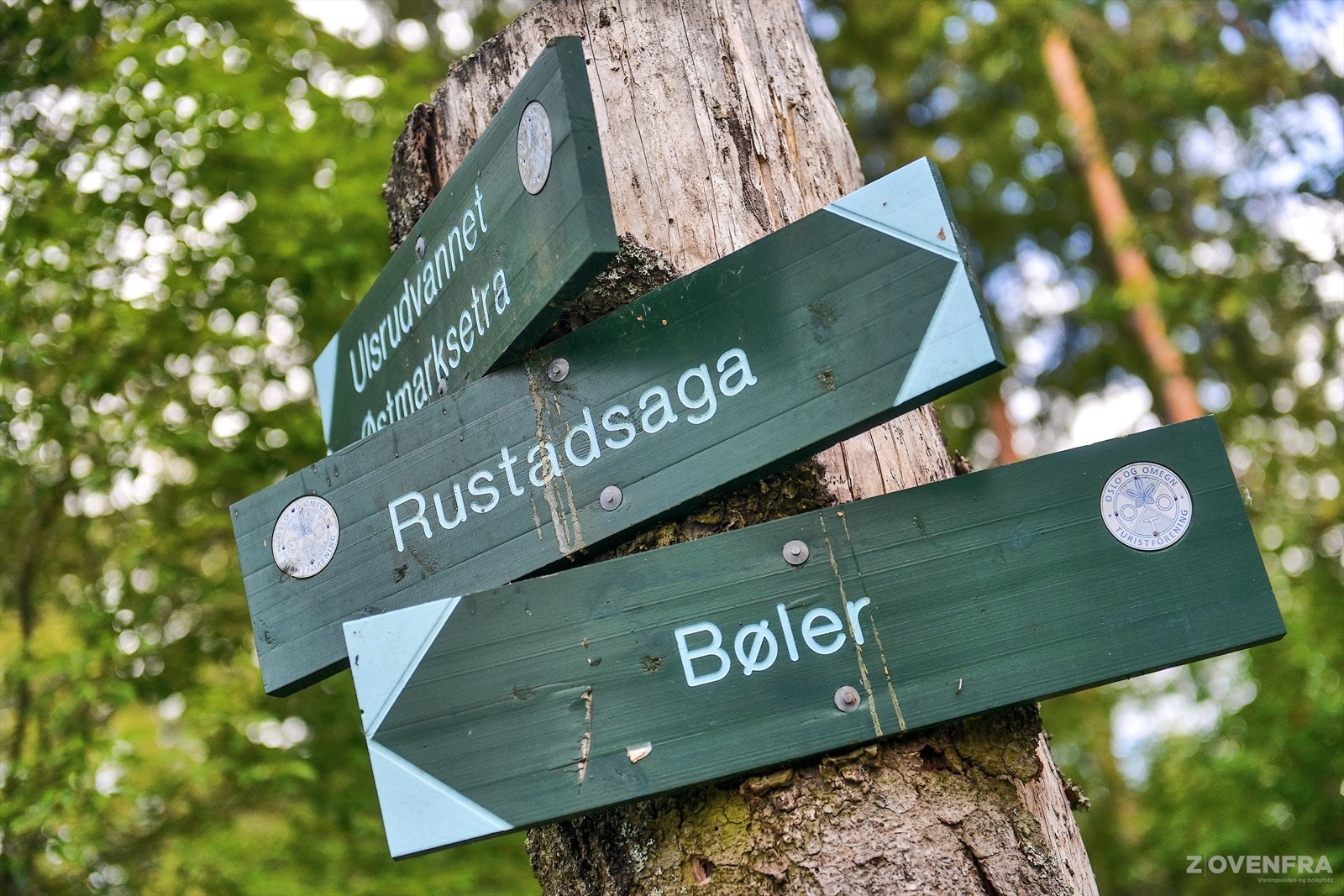 Ca 20 min gange til Østmarka. Galleribilde