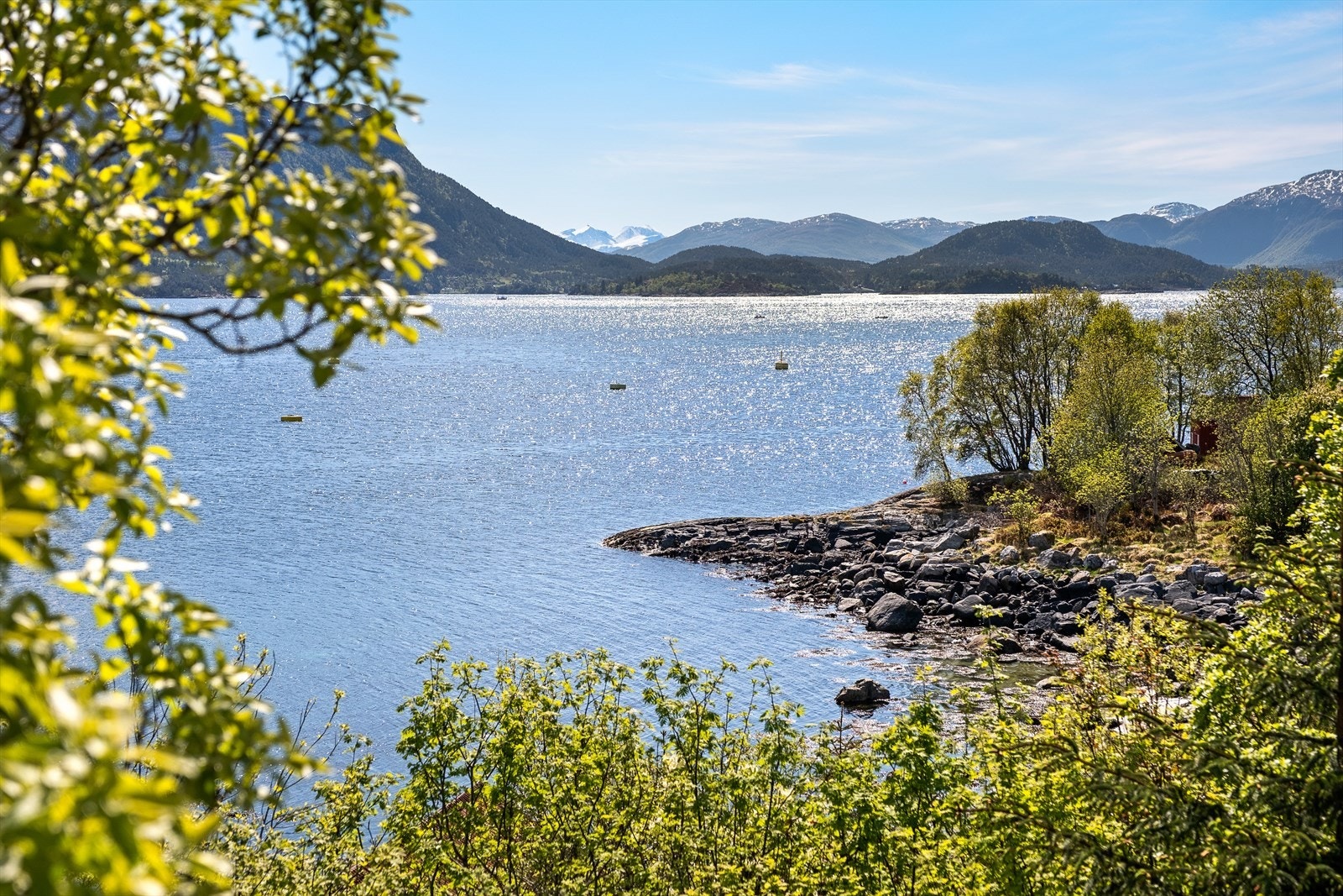 Utsikt Bremsnesfjorden Galleribilde