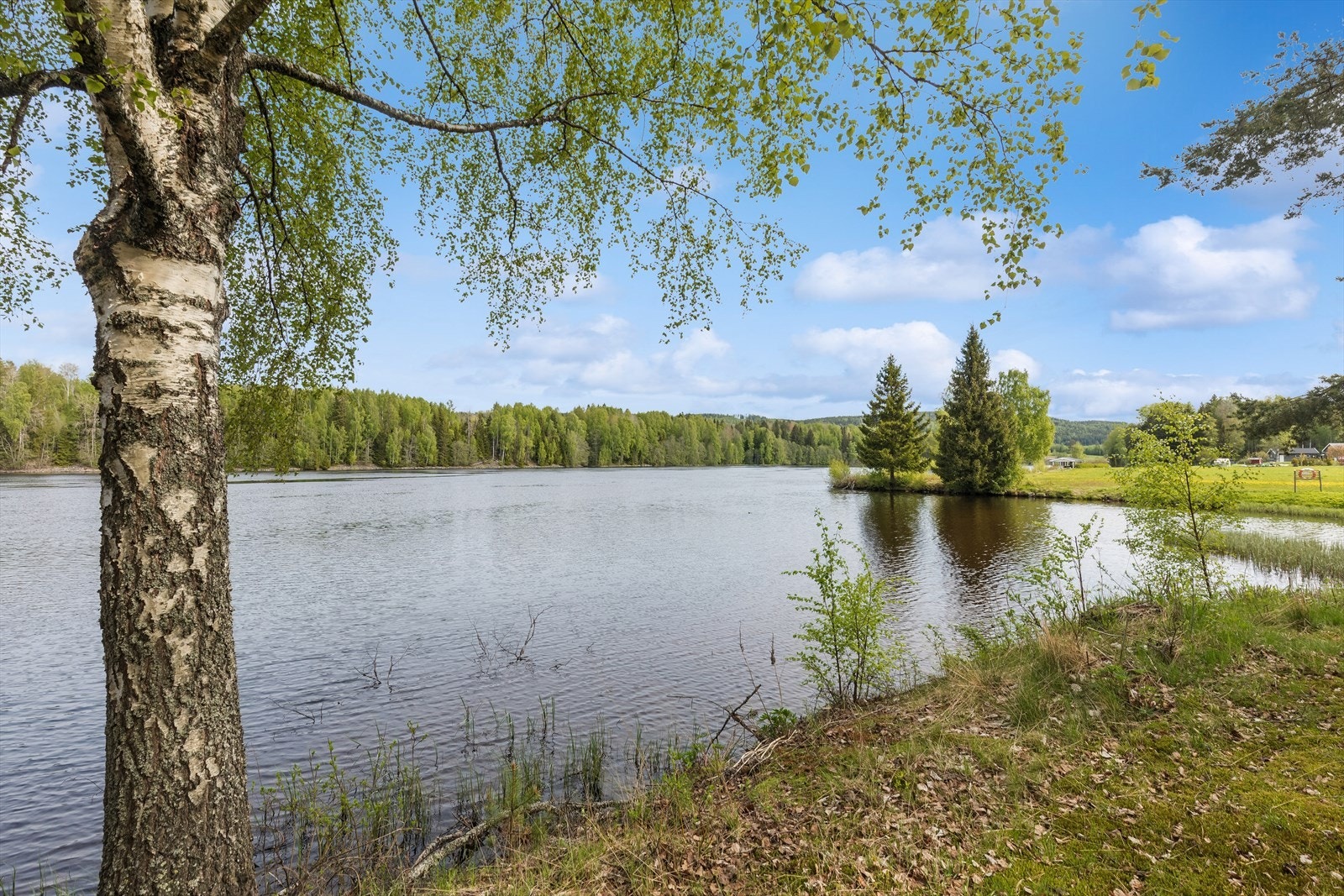 Landlig beliggenhet med umiddelbar nærhet til natur. Galleribilde