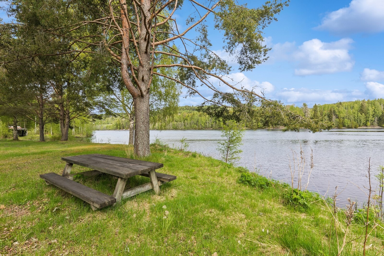 Den store tomten gir rikelig med uteplass og strekker seg helt ned til vannkanten. Galleribilde