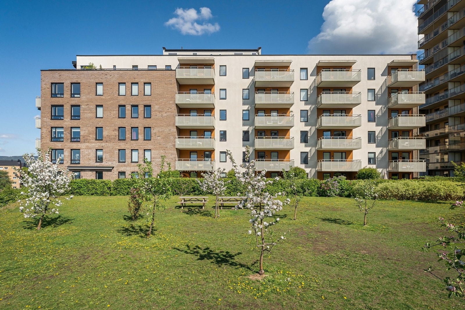 Velkommen til visning! Galleribilde