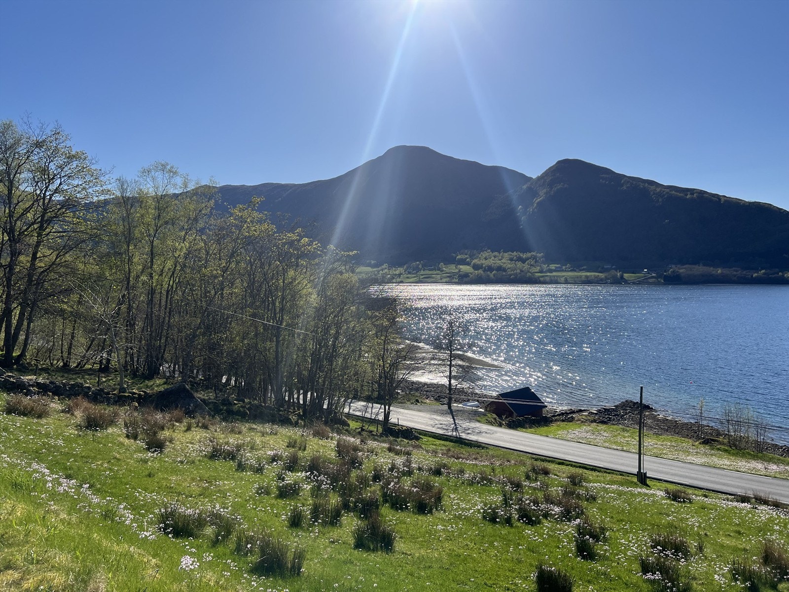 Selgers bilder Galleribilde