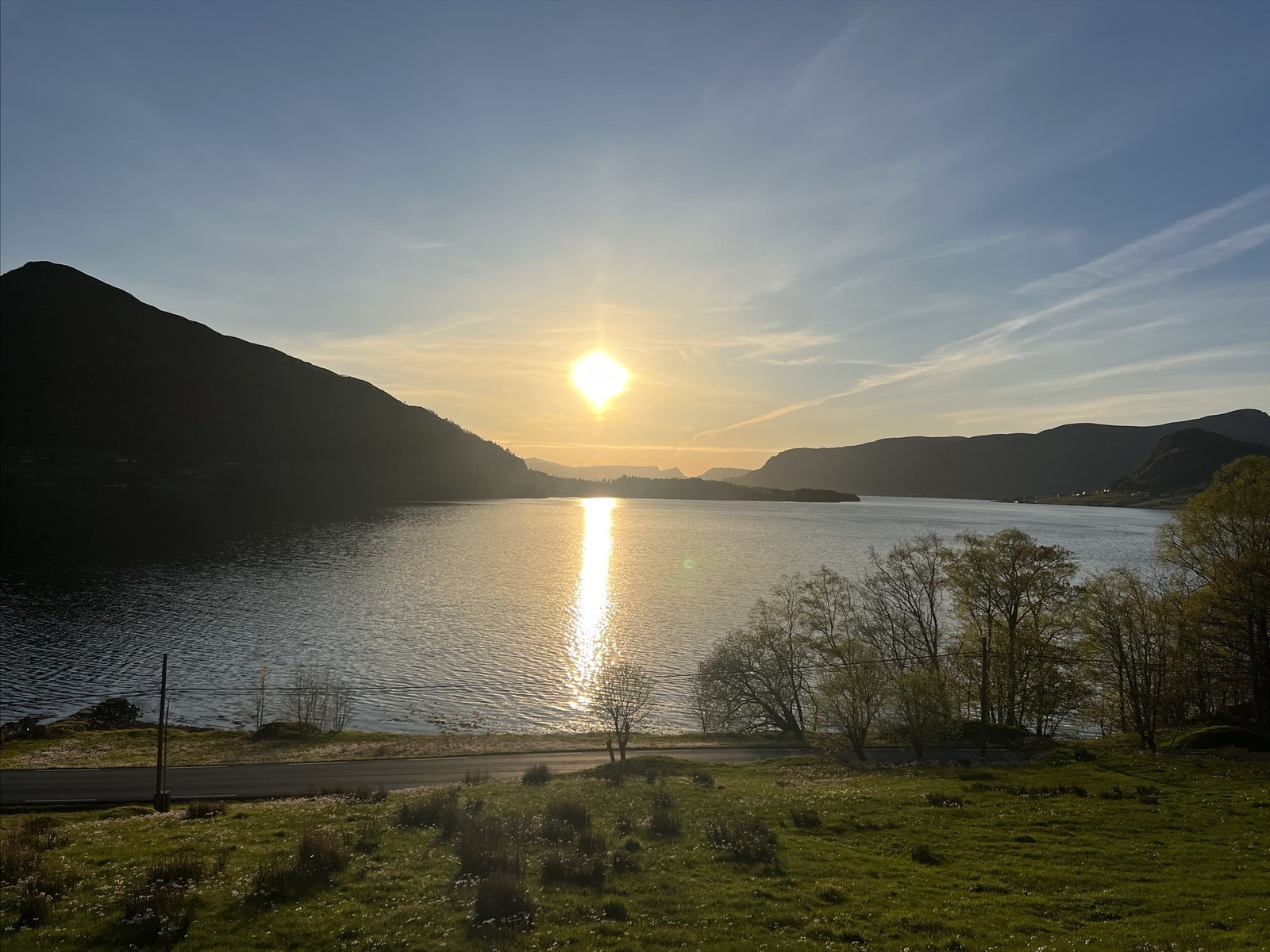 Selgers bilder. Galleribilde
