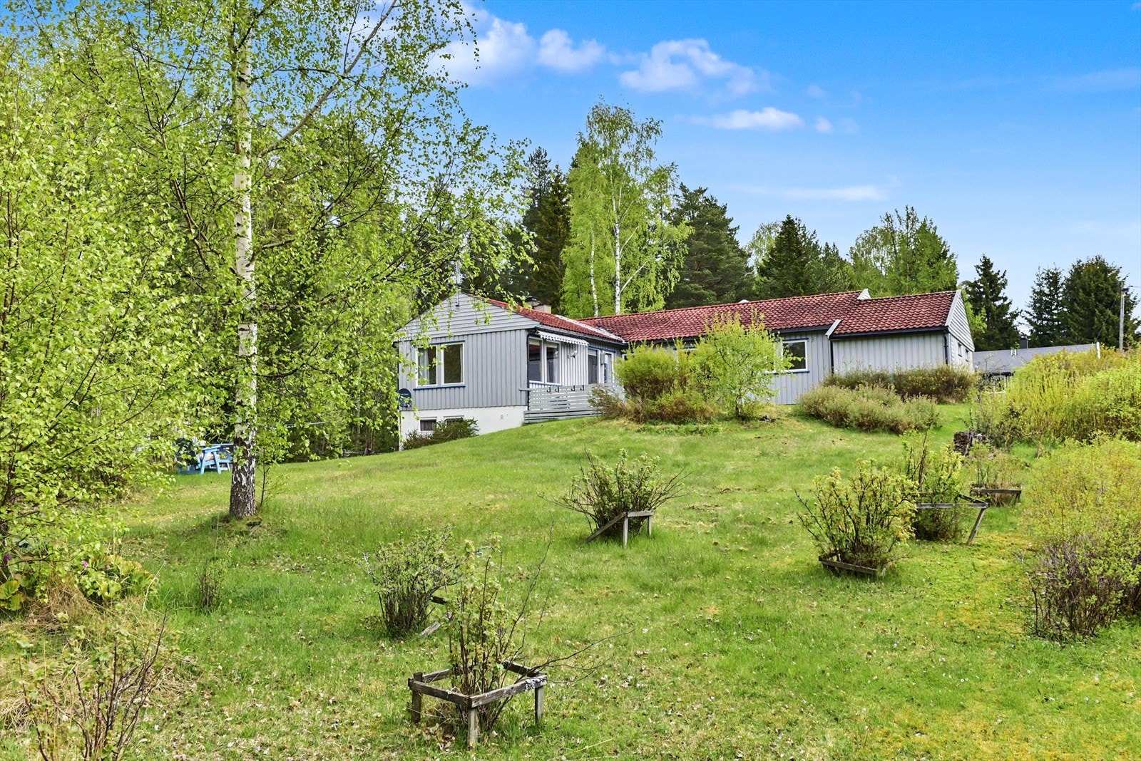 Stor hage med plen på vestsiden av boligen, med god plass for lek og aktiviteter. Galleribilde