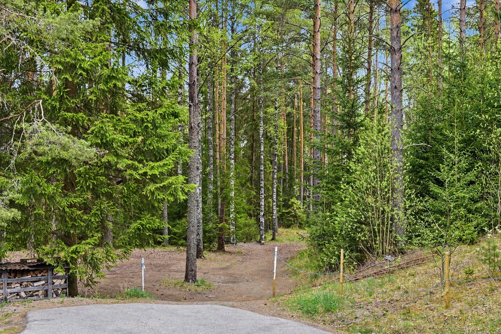 Turstiene starter rett utenfor døren, med rike muligheter for turer i skog og mark. Her er det sti ned til bru over elva Skjerva som benyttes av barnehage til lavvo på motsatt side. Galleribilde