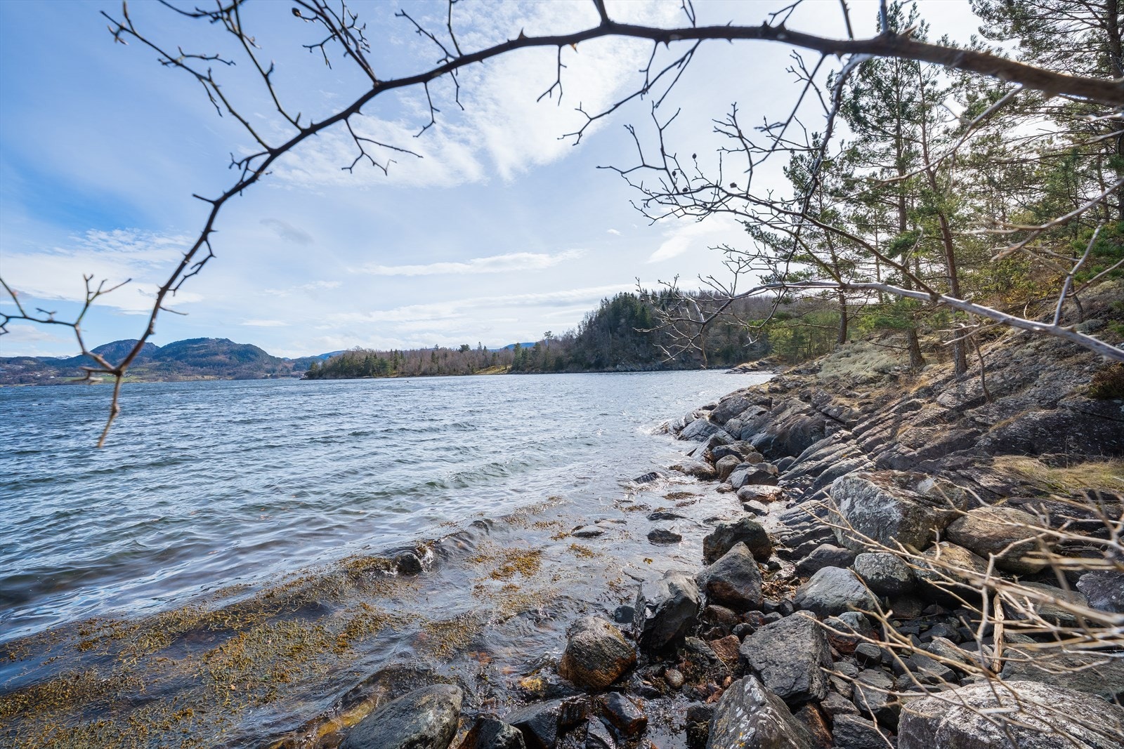 Område for brygge Galleribilde