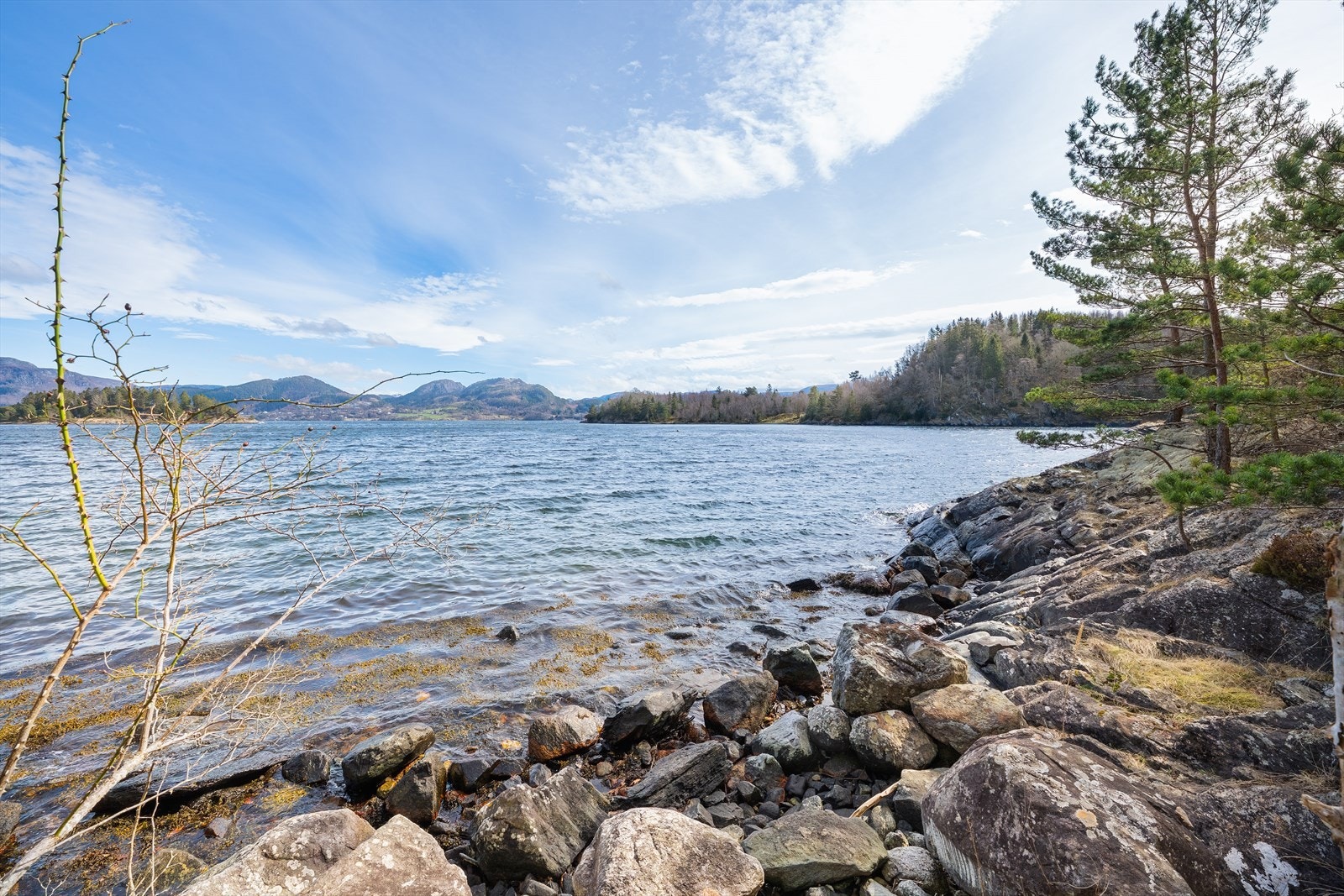 Område for brygge Galleribilde