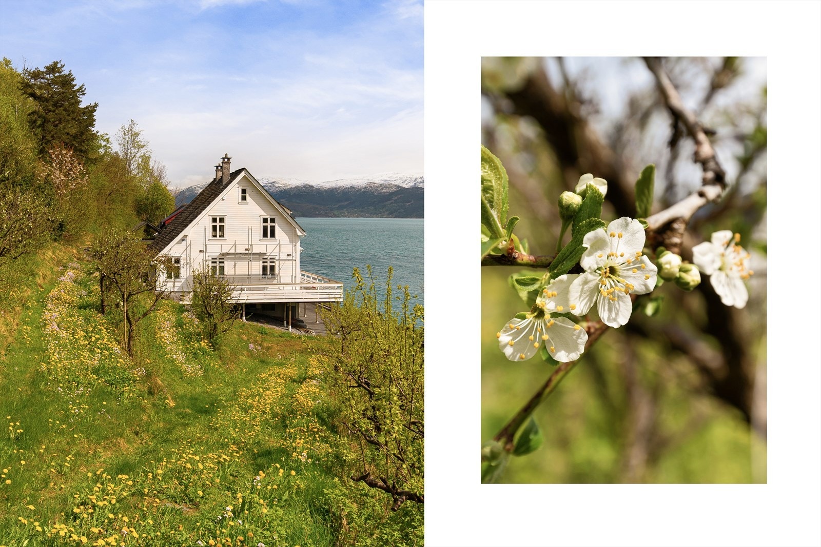 Småbruket har en fantastisk beliggenhet rett i sjøkanten og vidstrakt utsikt mot fjorden og snødekte Folgefonna. Galleribilde