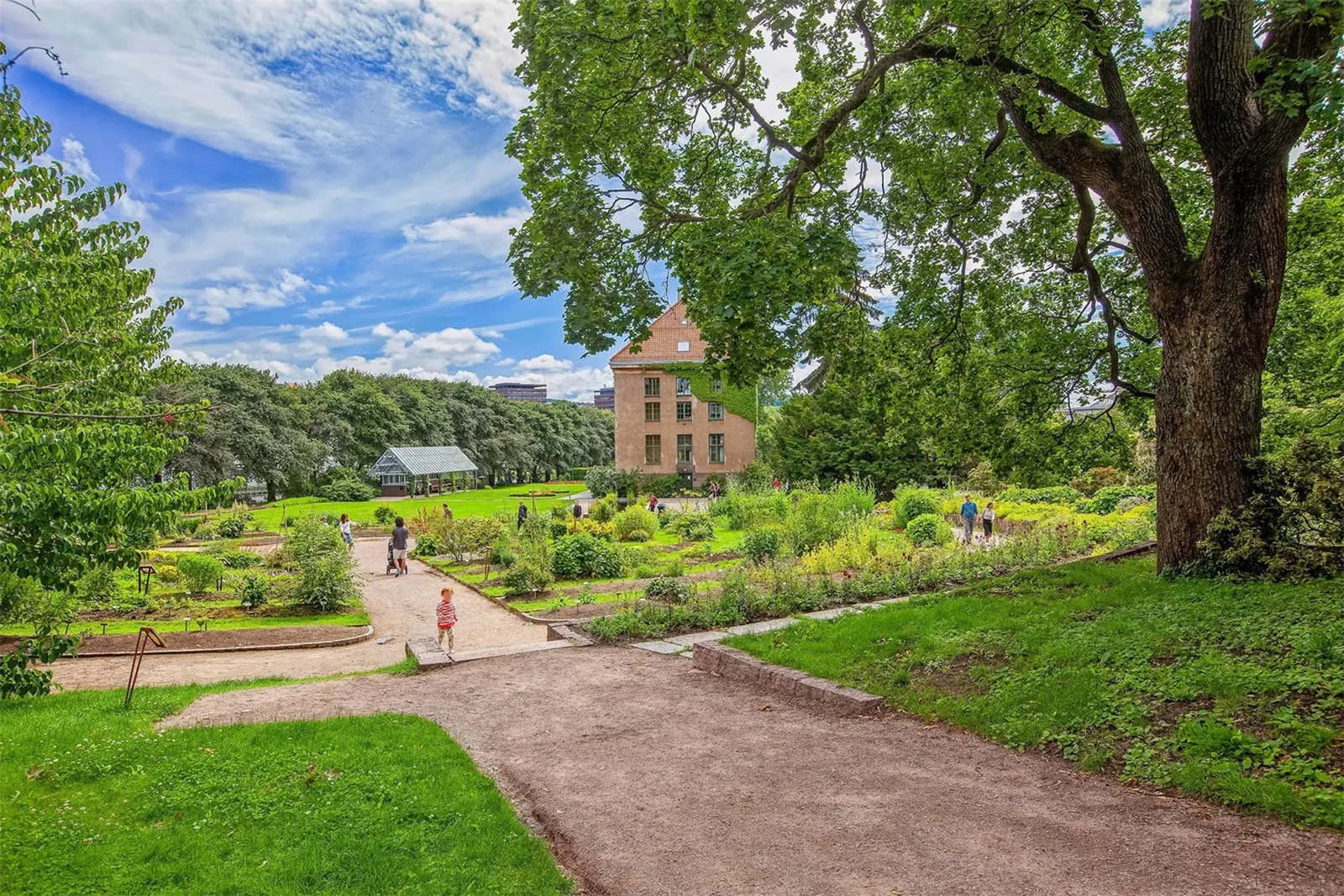 Botanisk hage er en av flere grønne lunger i nærområdet, perfekt for rekreasjon. Galleribilde