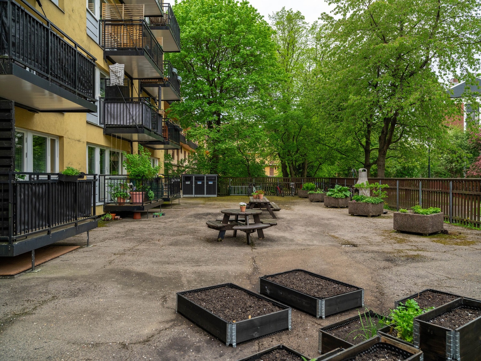 Fellesarealene i bakgården blir ekstra hyggelige nå om sommeren med sittegrupper, grill og frodige omgivelser. Galleribilde