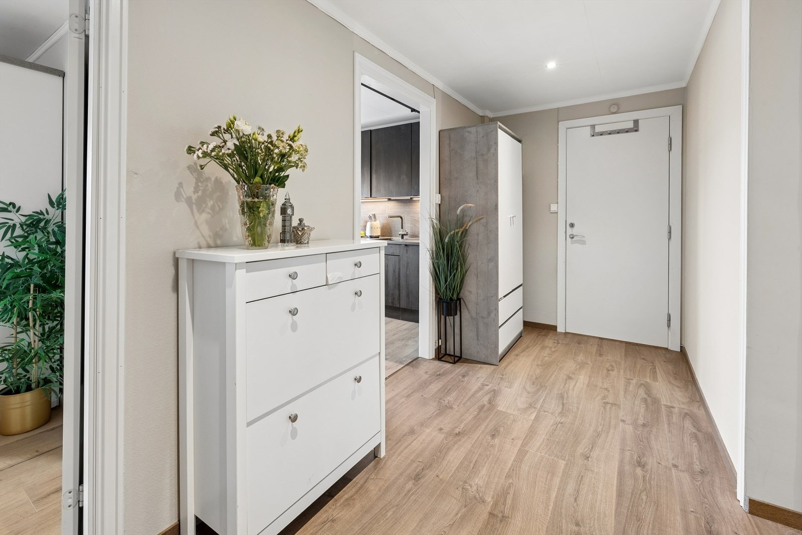 God plass for oppbevaring i gangen. Galleribilde