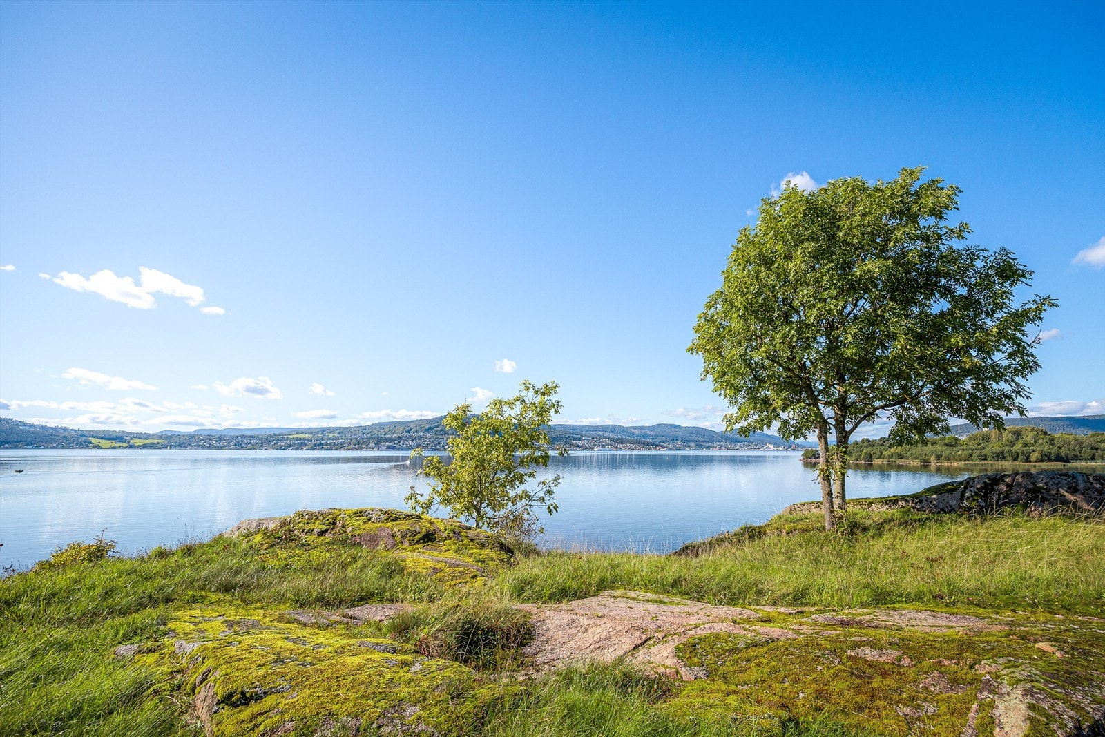 Nærområdet byr på svaberg og naturtomtpreg. Galleribilde