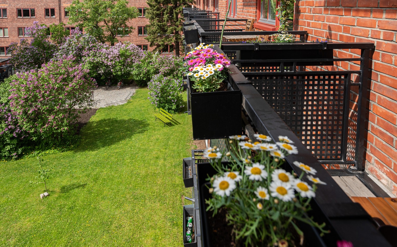 Utsyn over frodig og grønn bakgård. Galleribilde
