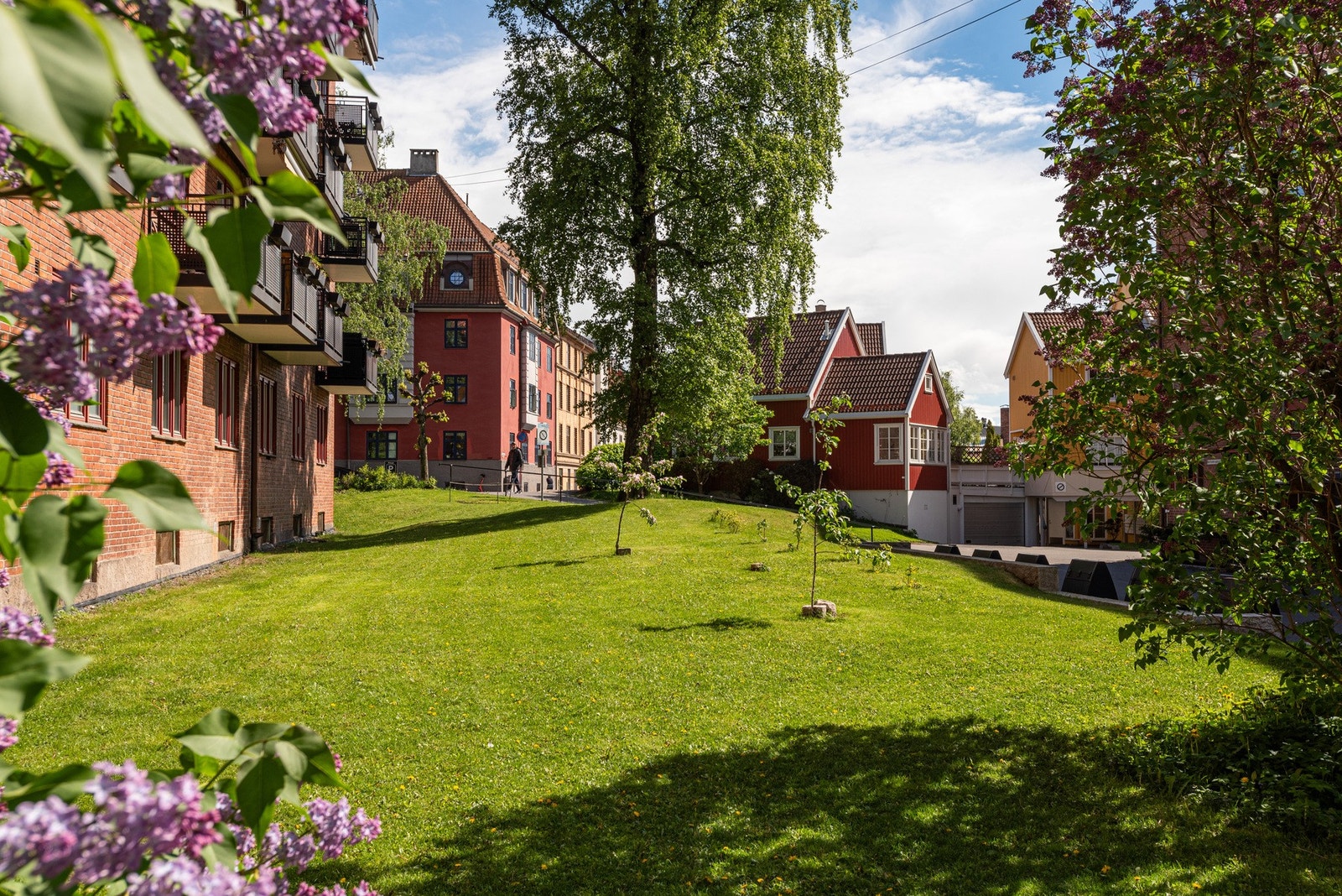 Vakker utsikt mot karakteristisk og sjarmerende trehusbebyggelse på Torshov. Galleribilde