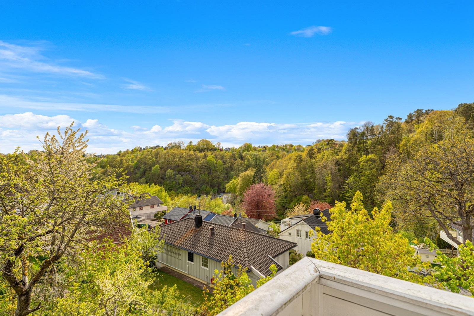 Utsikt over nabolag omgitt av frodig skog og blå himmel. Galleribilde