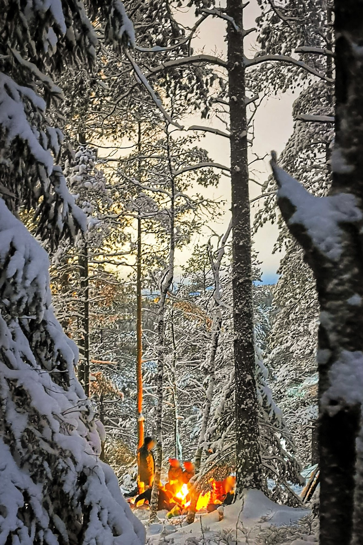 Glassberget en vakker vinterdag. En tur opp hit (20-30 minutters gange) er et lite og kortreist eventyr for både voksne og barn Galleribilde
