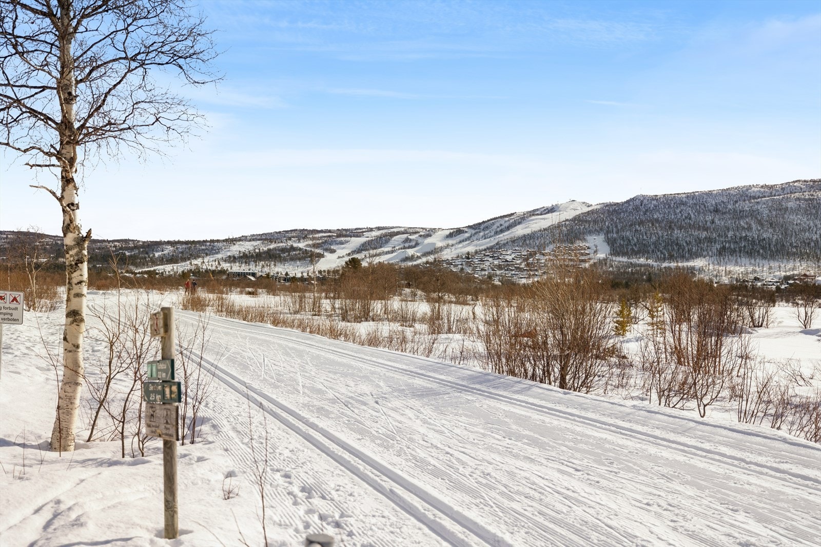 Umiddelbar nærhet til preparerte langrennsløyper. Galleribilde