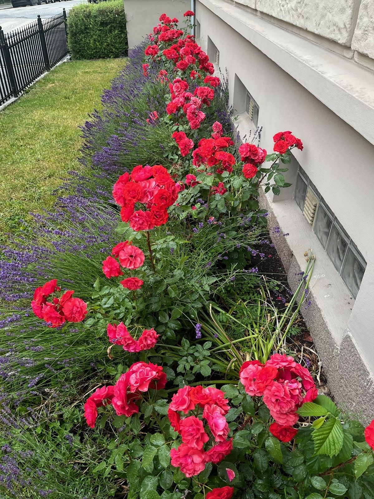Forhage sommertid - Fra selgers arkiv. Forhagen blomstrer fra tidlig vår til sen høst. Galleribilde