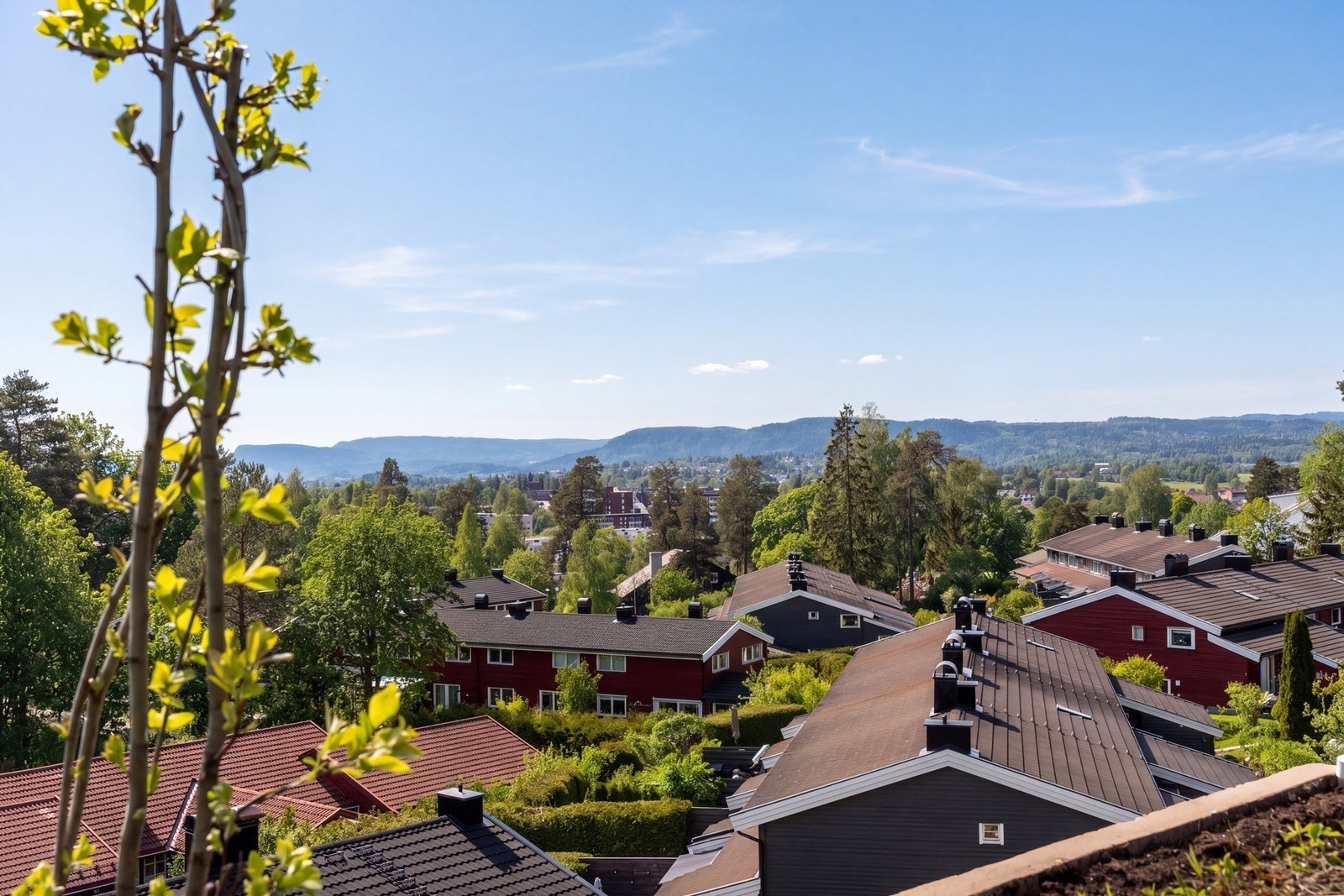 Vi ses på visning! Galleribilde