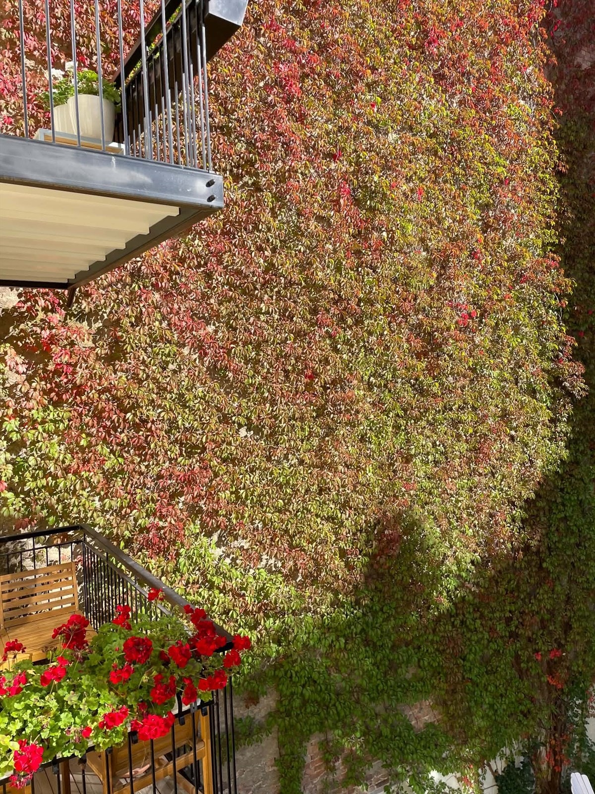 Fantastisk stemning i bakgården - Selgers private bilder. Galleribilde