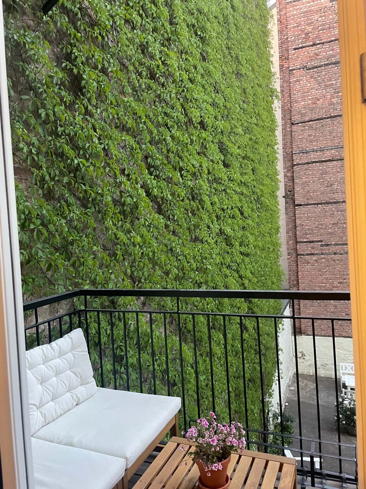 Fantastisk stemning i bakgården - Selgers private bilder. Galleribilde