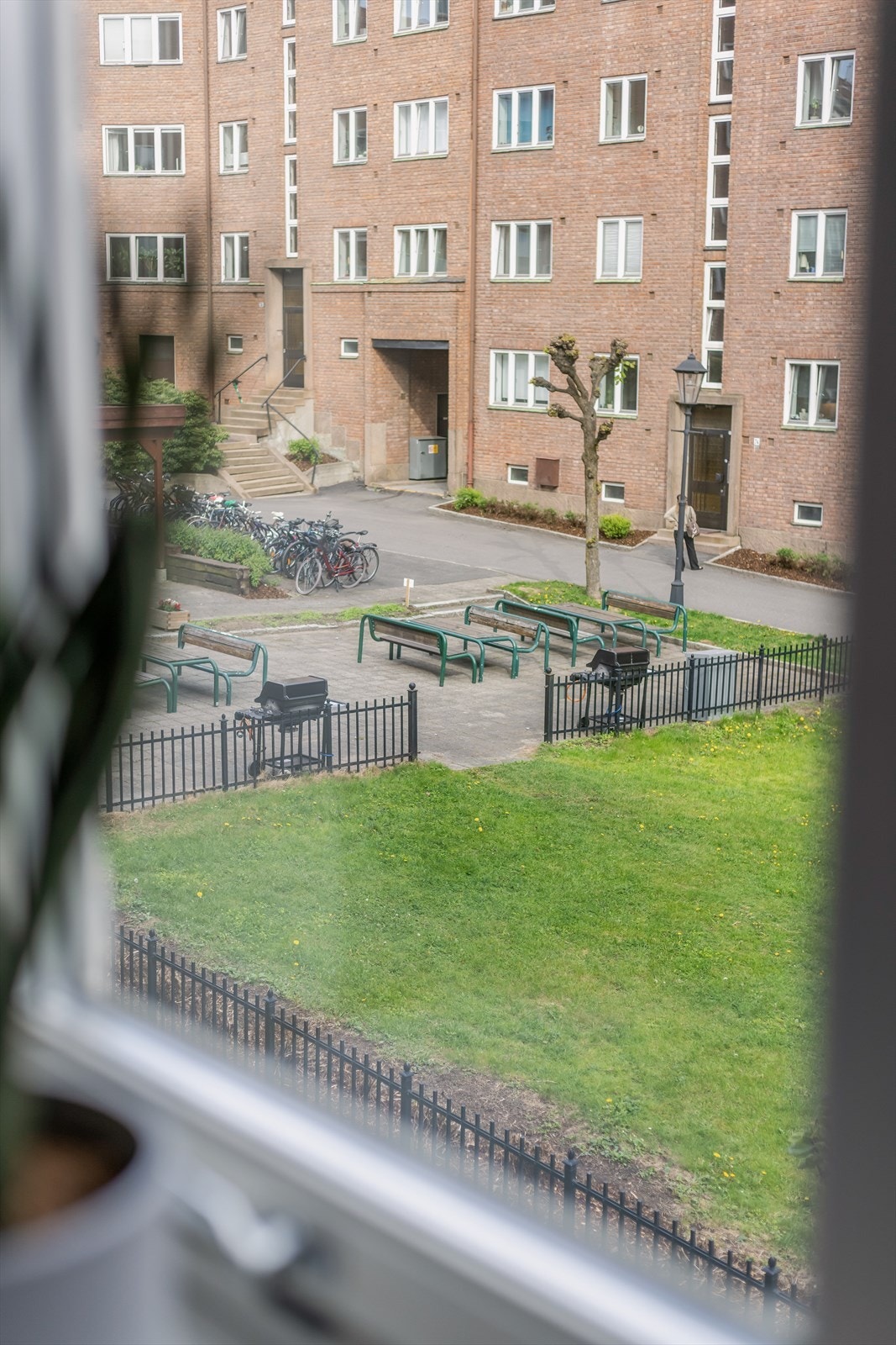 Begge soverommene vender mot rolig, grønn og frodig bakgård. Galleribilde