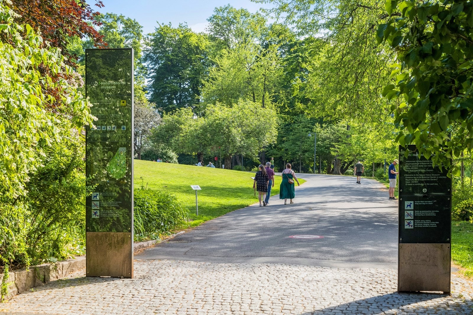 Med denne beliggenheten er man omringet av flere hyggelige parker. Botanisk hage er en av dem - og virkelig verdt et besøk. Galleribilde