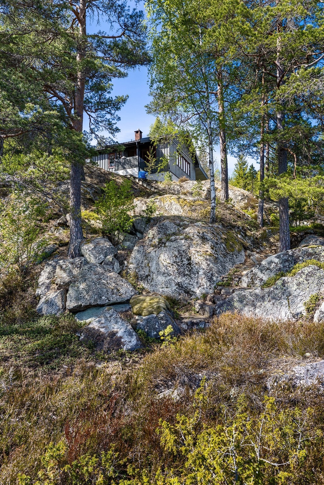 Tomten Galleribilde