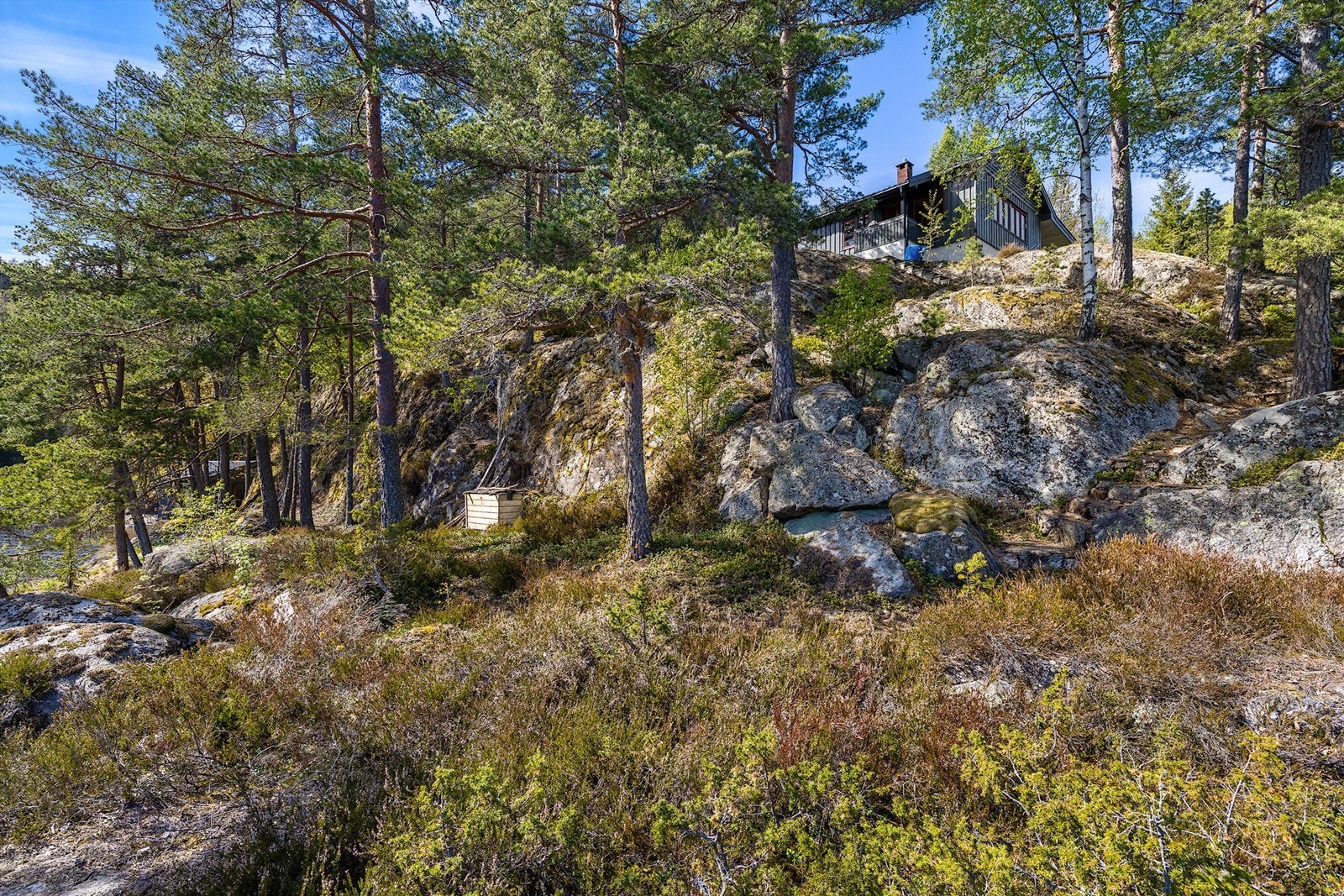 Tomten er utpreget naturtomt Galleribilde