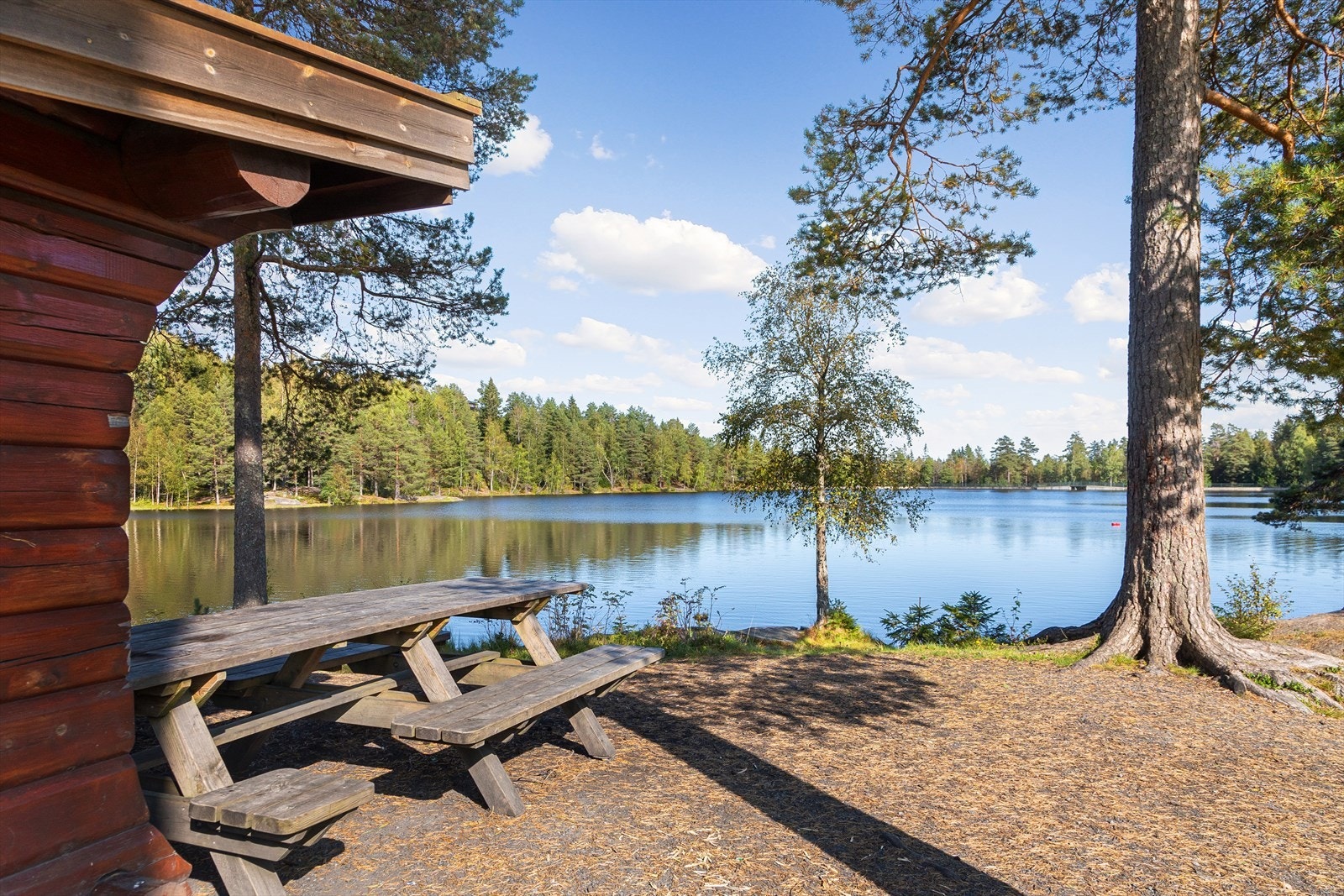 I Bragernesåsen kan man ta turen til det populære badevannet, Landfalltjern Galleribilde