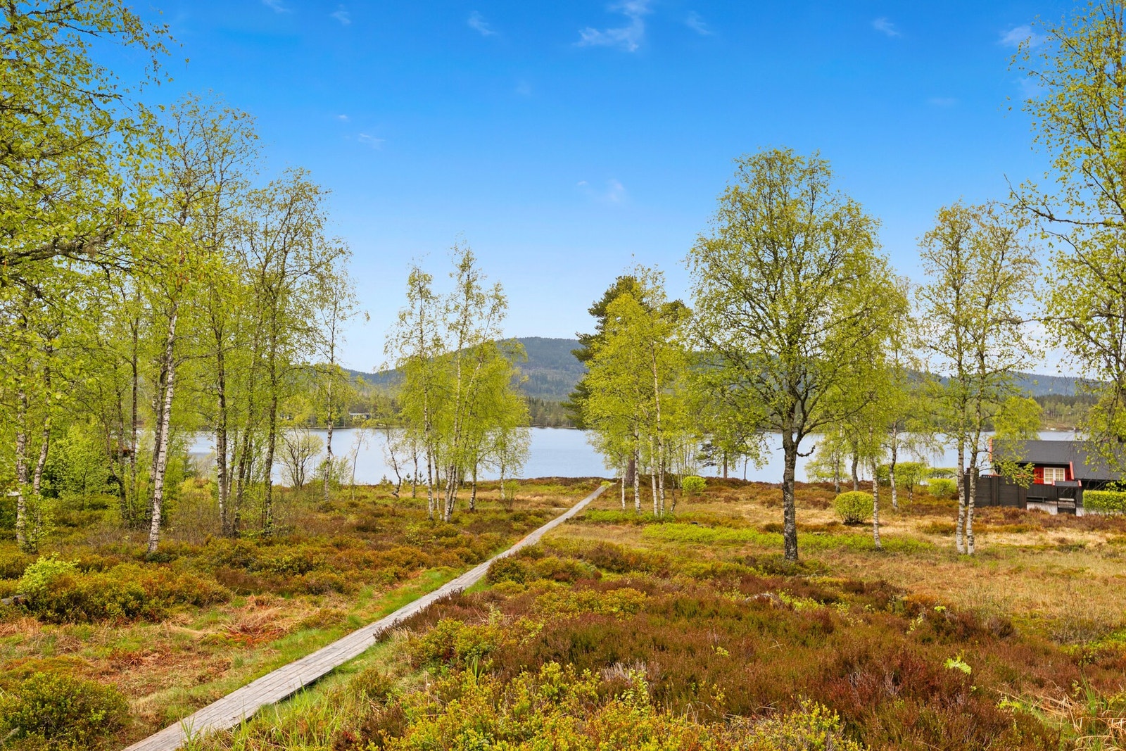 Breivann-området er kjent for sine flotte turmuligheter sommer som vinter. Om vinteren kjøres det opp skiløyper i området, mens sommeren byr på fine turstier og naturopplevelser rett utenfor døren. Galleribilde