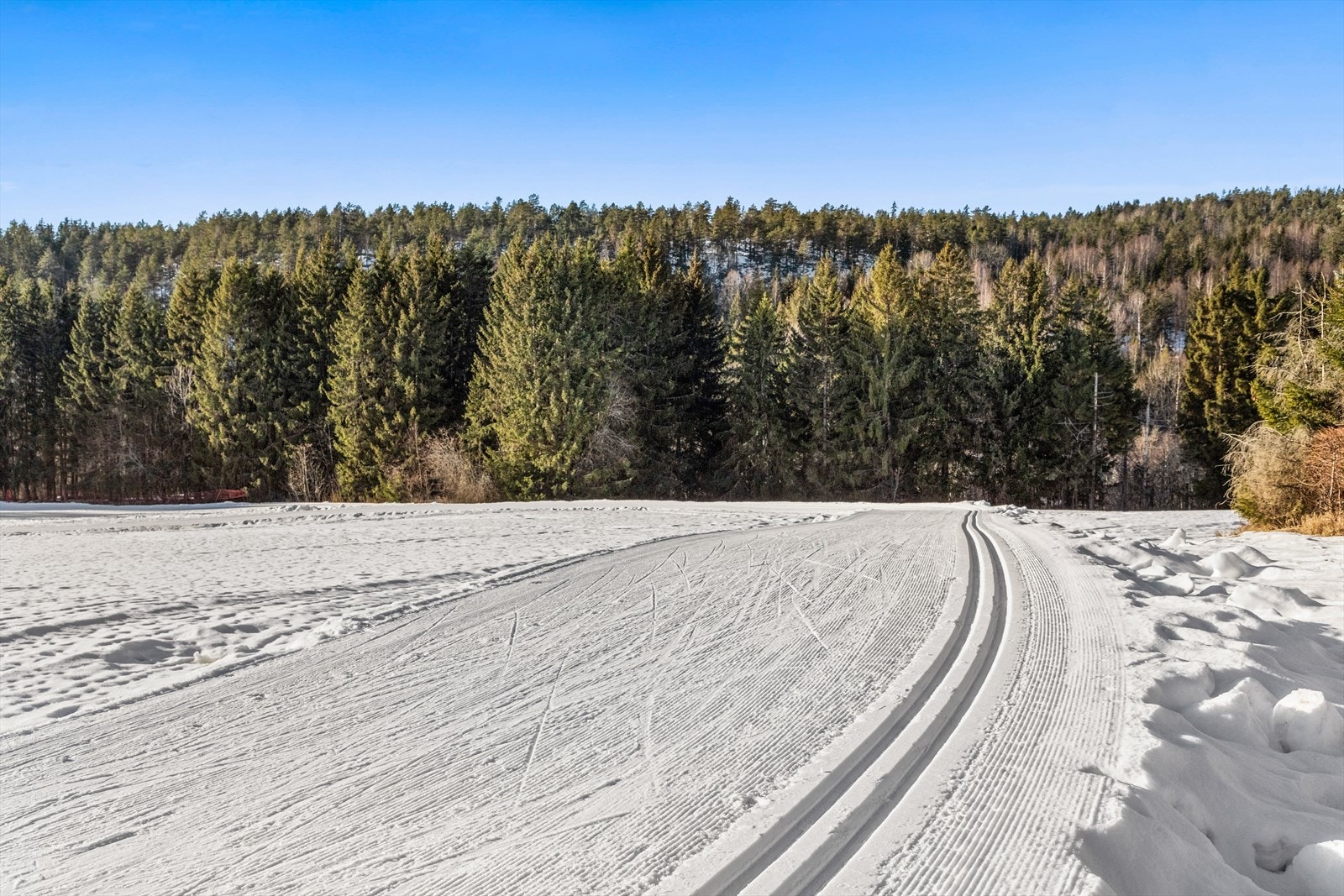 Flotte turmuligheter innover i Kjekstadmarka og på vinterstid går det skiløyper på jordet like bortenfor eiendommen som strekker seg fra Østenstad til Bødalen. Galleribilde