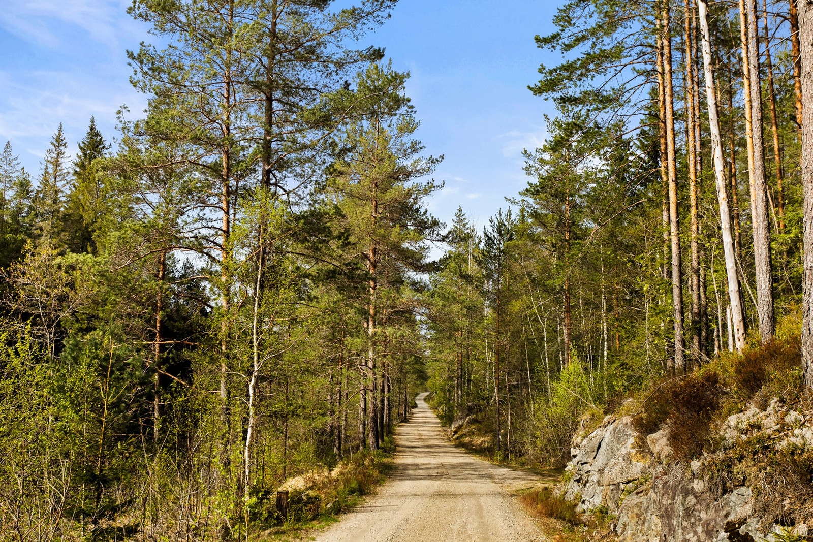 Det er ca. 15 minutters kjøring til Myra sentrum på Vegårshei, hvor man finner dagligvarebutikk, byggvarehandel, bank og øvrige servicetilbud. Galleribilde