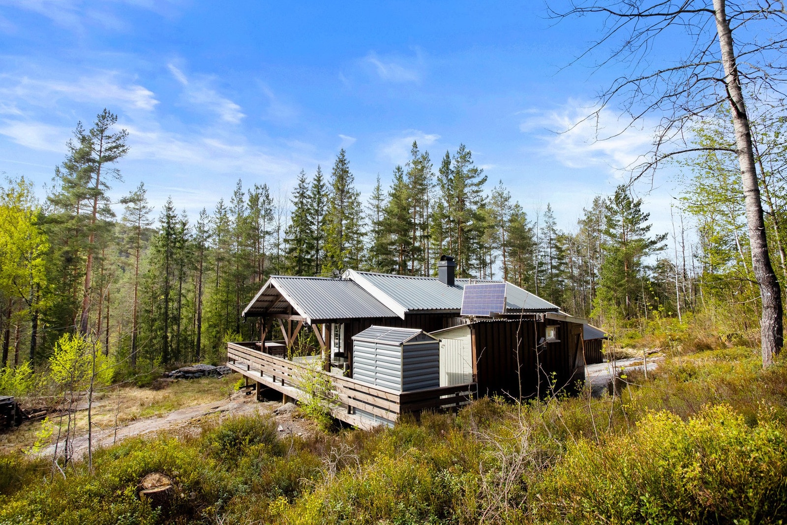 Velkommen på visning! Galleribilde
