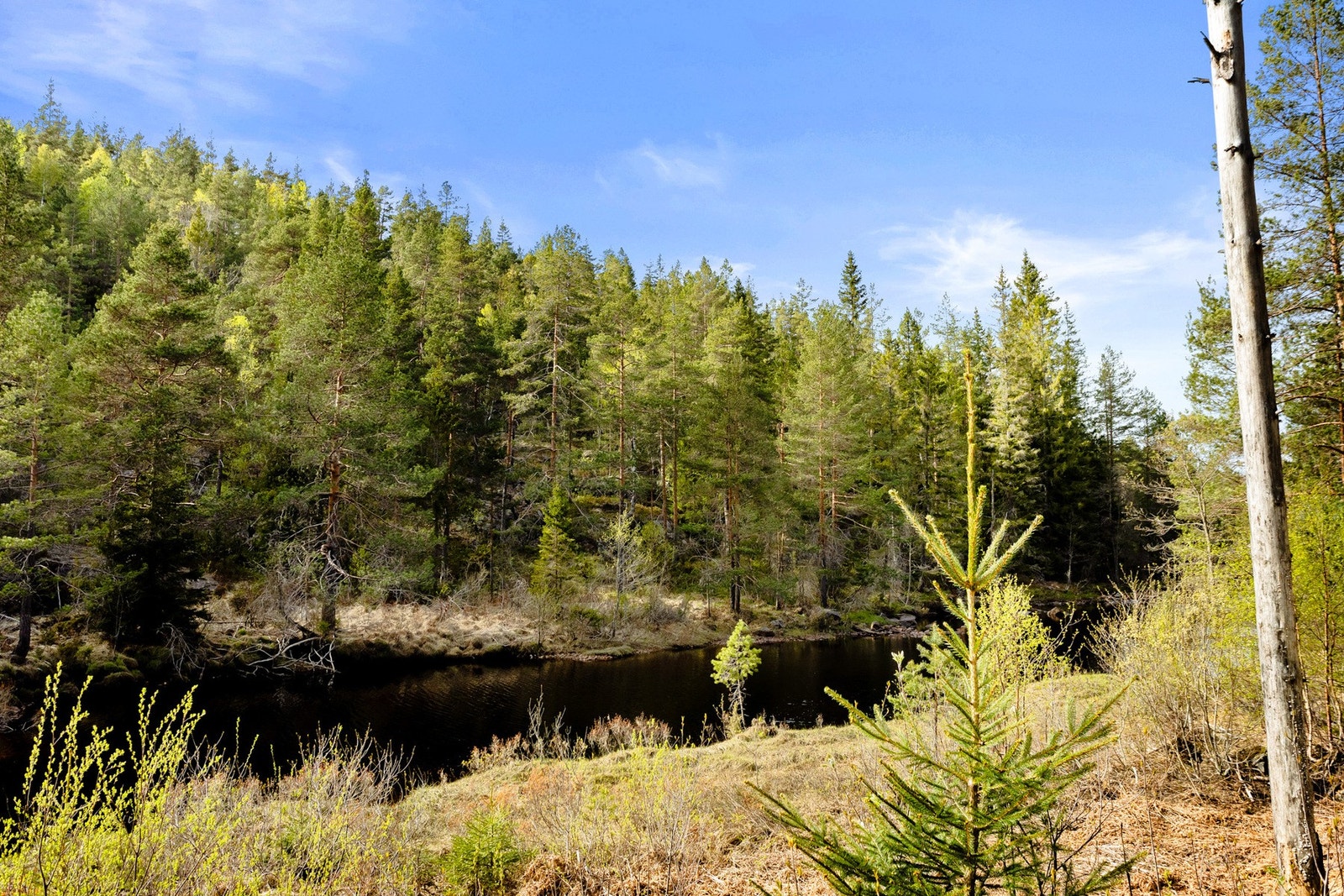 Langs vannet ligger flere felles badeplasser med svaberg og fjellknauser, samt det populære "badefjellet" ved parkeringsplassen hvor kveldssolen varer lenge. Galleribilde
