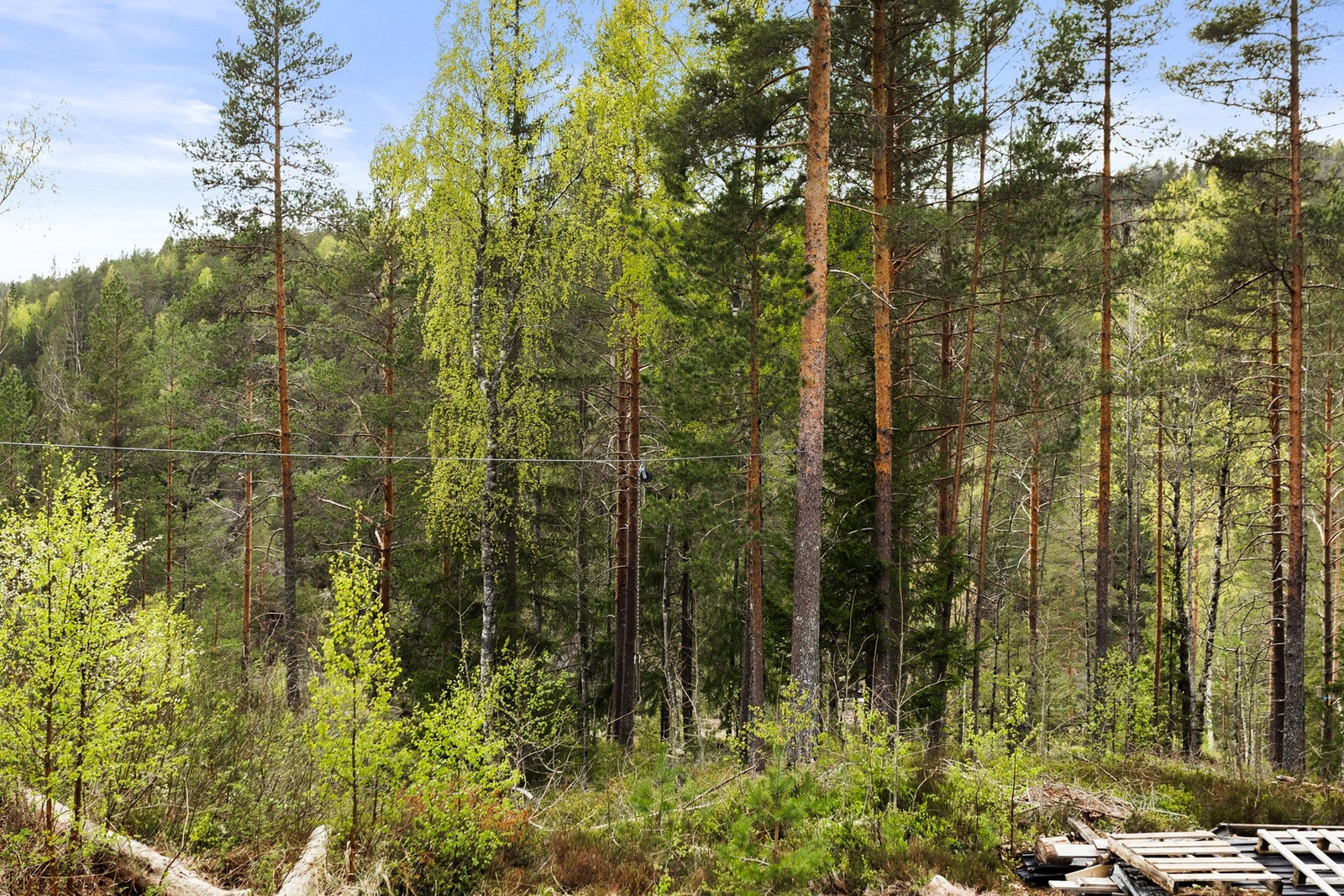 Vinterstid byr området på flotte naturopplevelser med islagt vann, preparerte skiløyper og alpinanlegg på Myra. Galleribilde