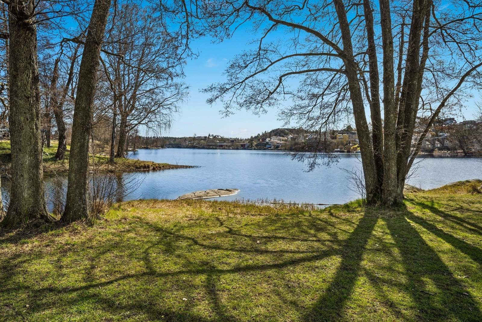 Kort vei til flotte Nesparken Galleribilde