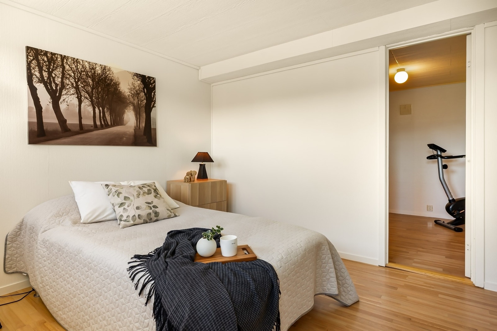 Rommet har en praktisk tilgang til en av bodene. Galleribilde