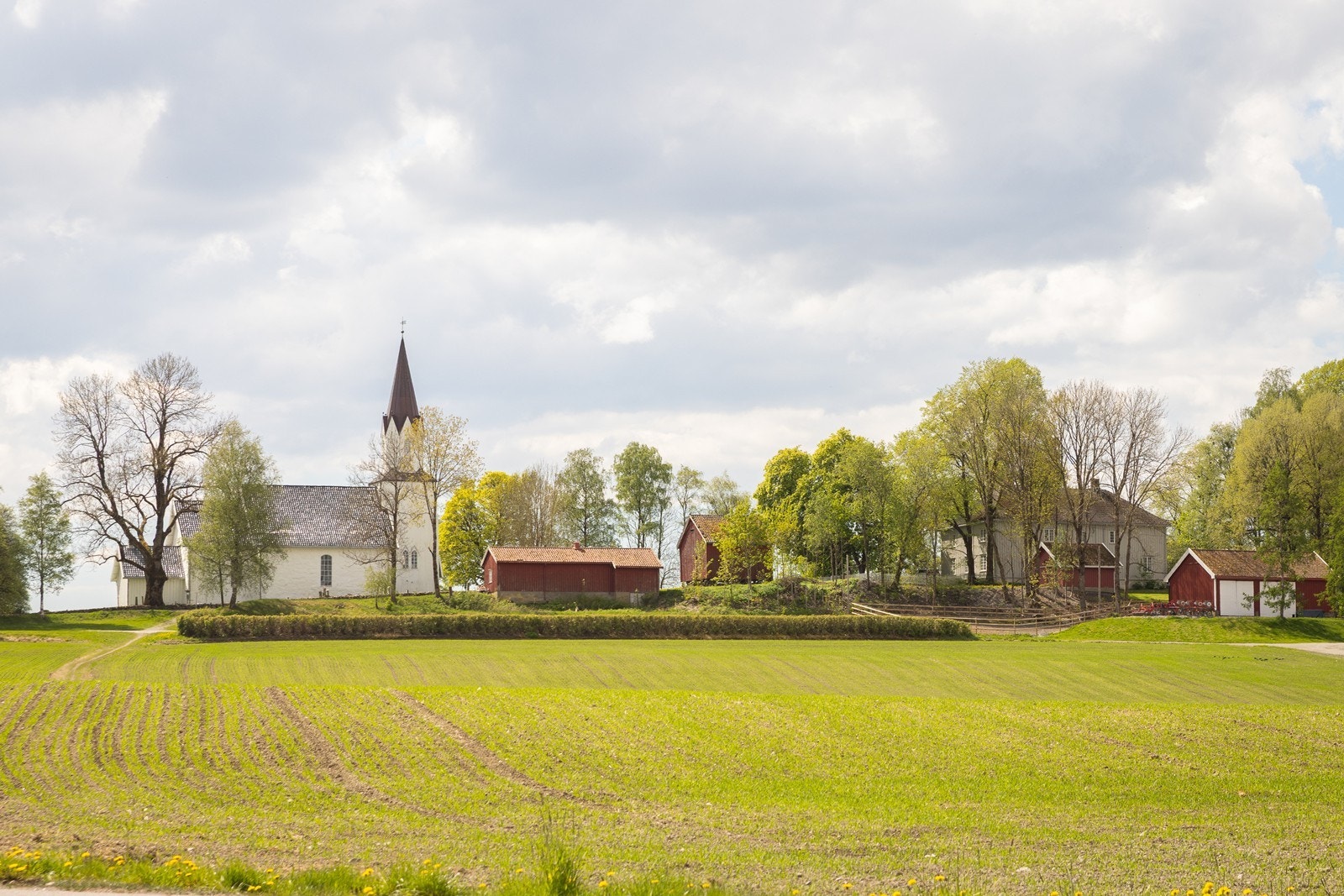 Eiendommen ligger i et område med nærhet til skog og mark. Galleribilde