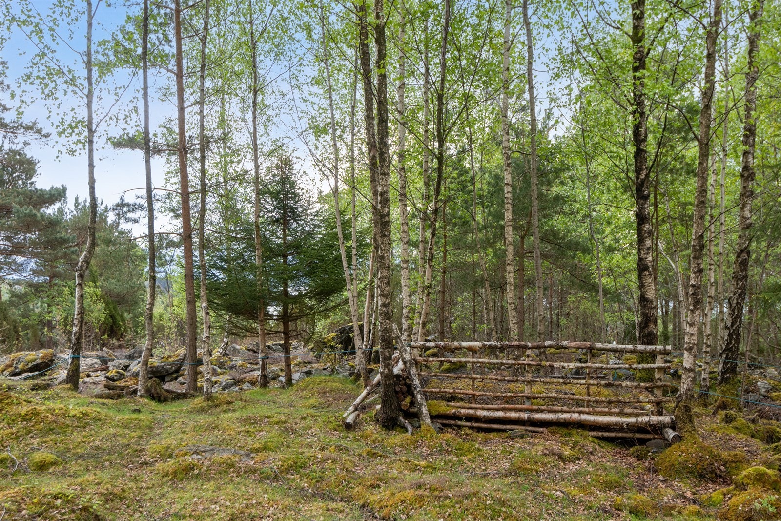 Naturtomten gir en usjenert og fredelig ramme rundt fritidsboligen. Galleribilde