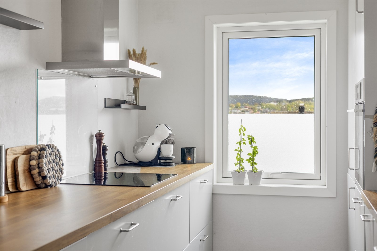 Fra kjøkkenvinduet er det utsikt over Skien Øst og mot Vealøs. Galleribilde