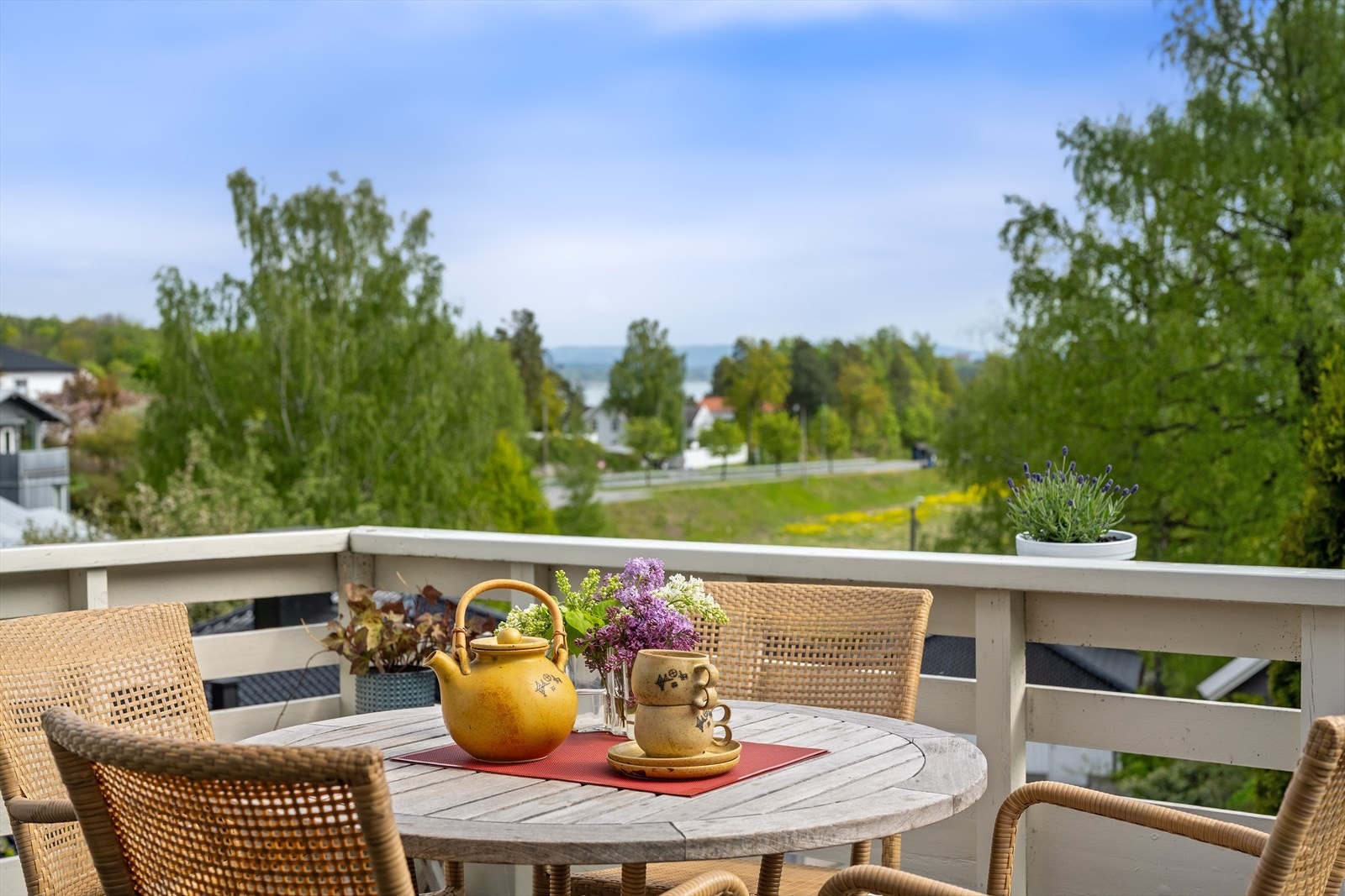 Utsikt fra terrasse. Galleribilde
