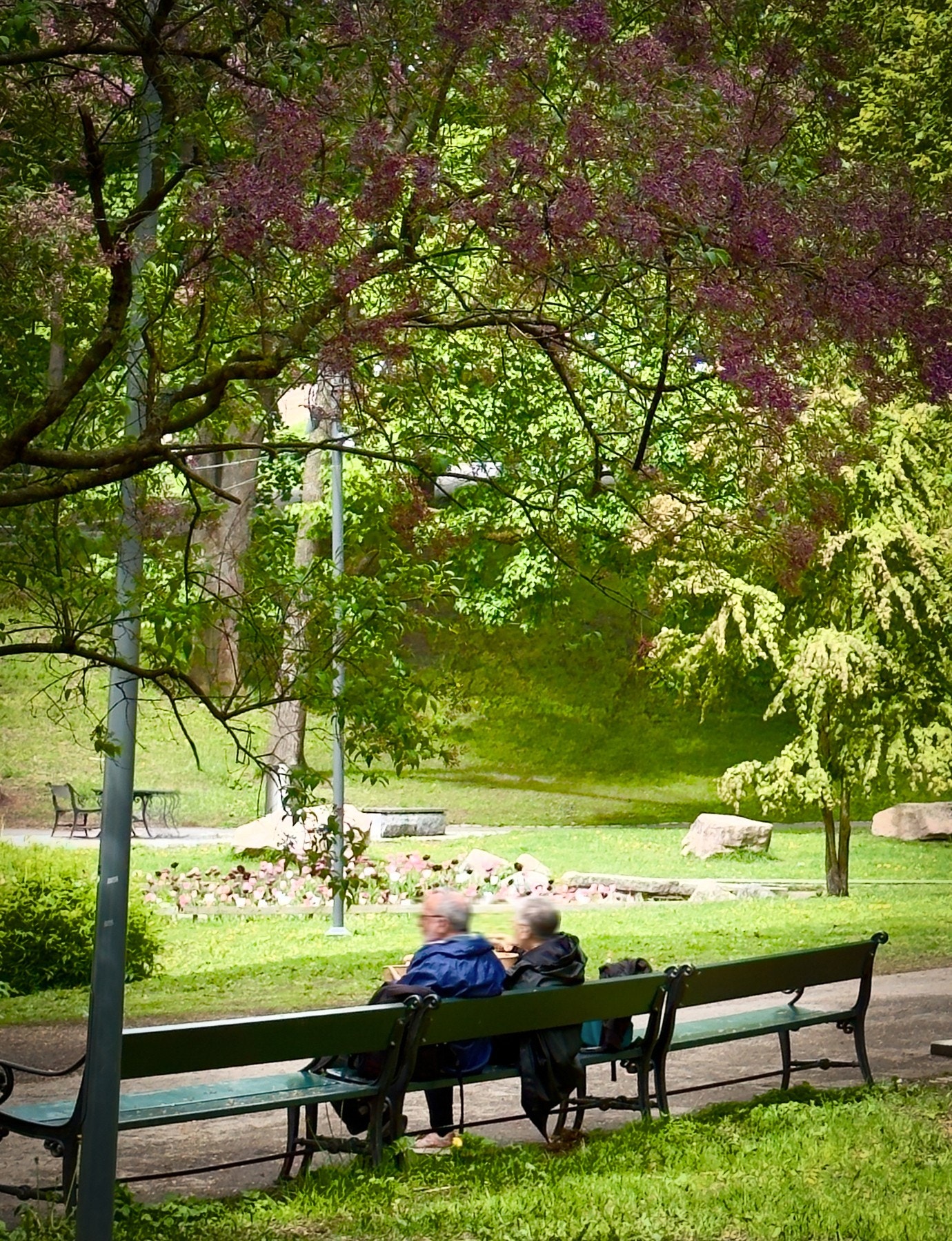 St.hanshaugen ligger er kort spasertur unna Galleribilde