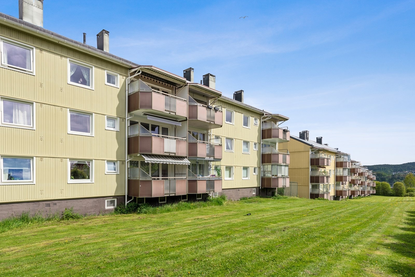 Grønne, flotte fellesområder. Galleribilde