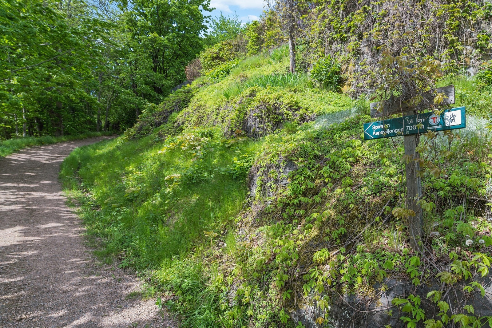 Direkte adkomst til det flotte nettverket av turstier i åsen. Her går Zik Zakken over eiendommen. Galleribilde