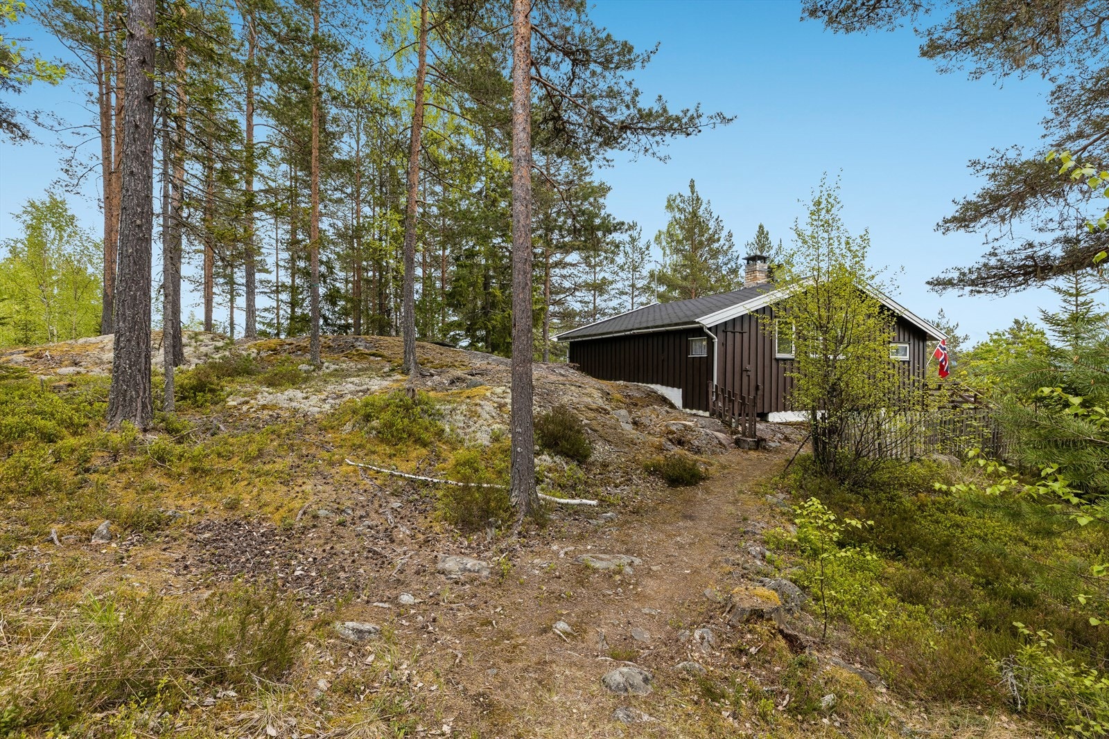 Tomten er omgitt av skog og natur, med stier som innbyr til turer året rundt. Galleribilde