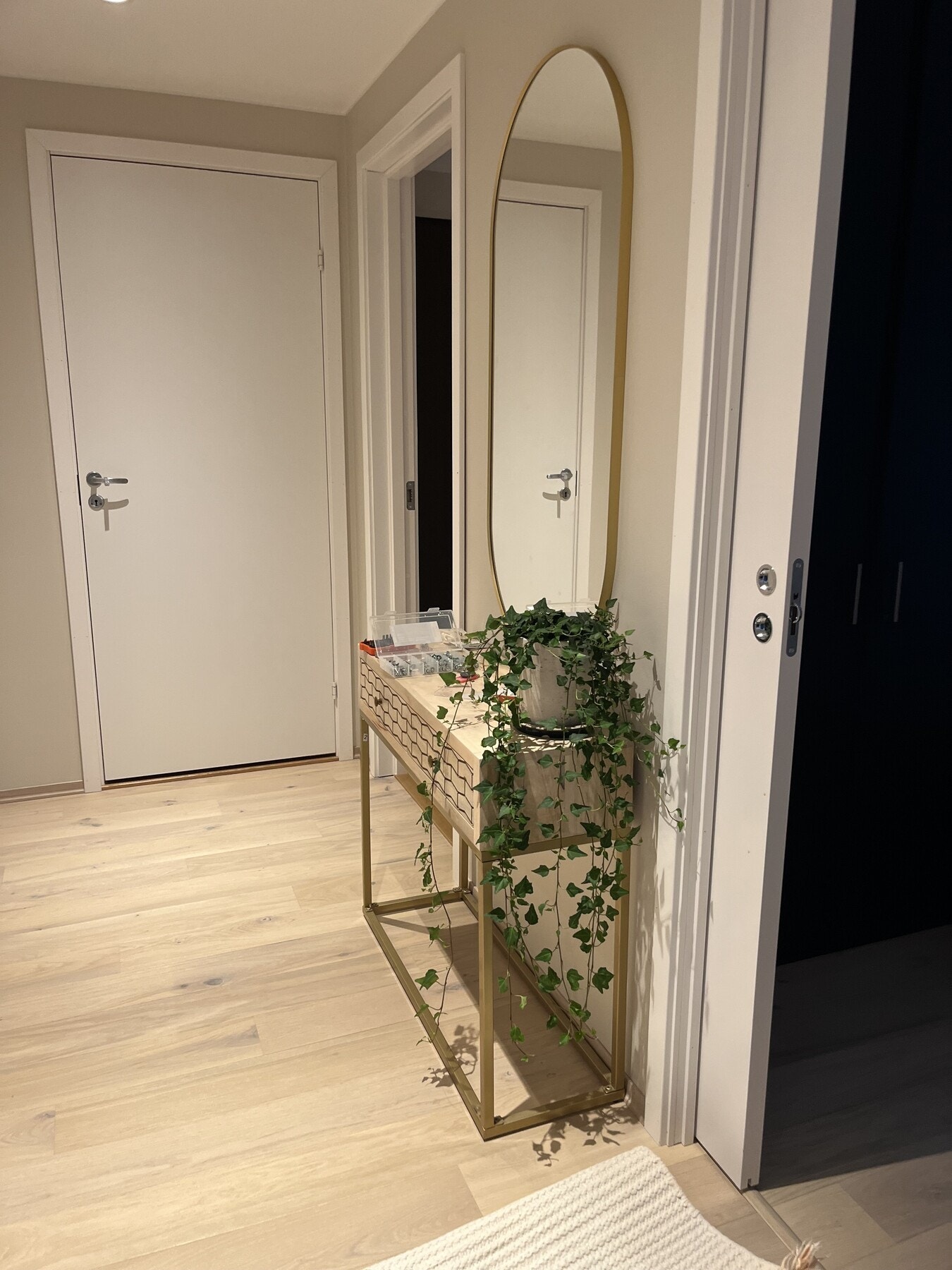 Velkommen inn! (Innvendige bilder fra leiligheten er selgers private bilder) Galleribilde