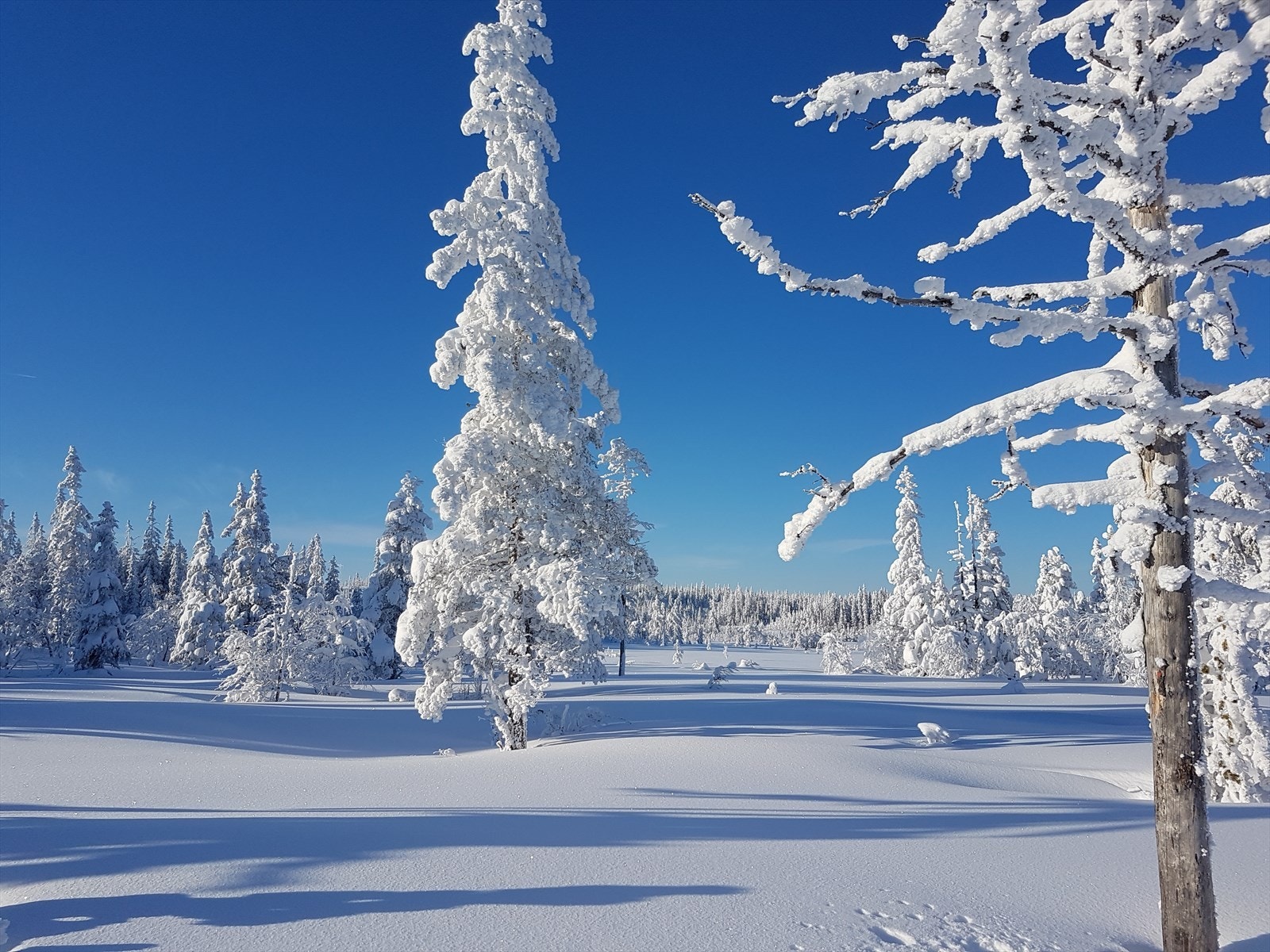 Et eldorado for friluftsinteresserte, året rundt. Galleribilde