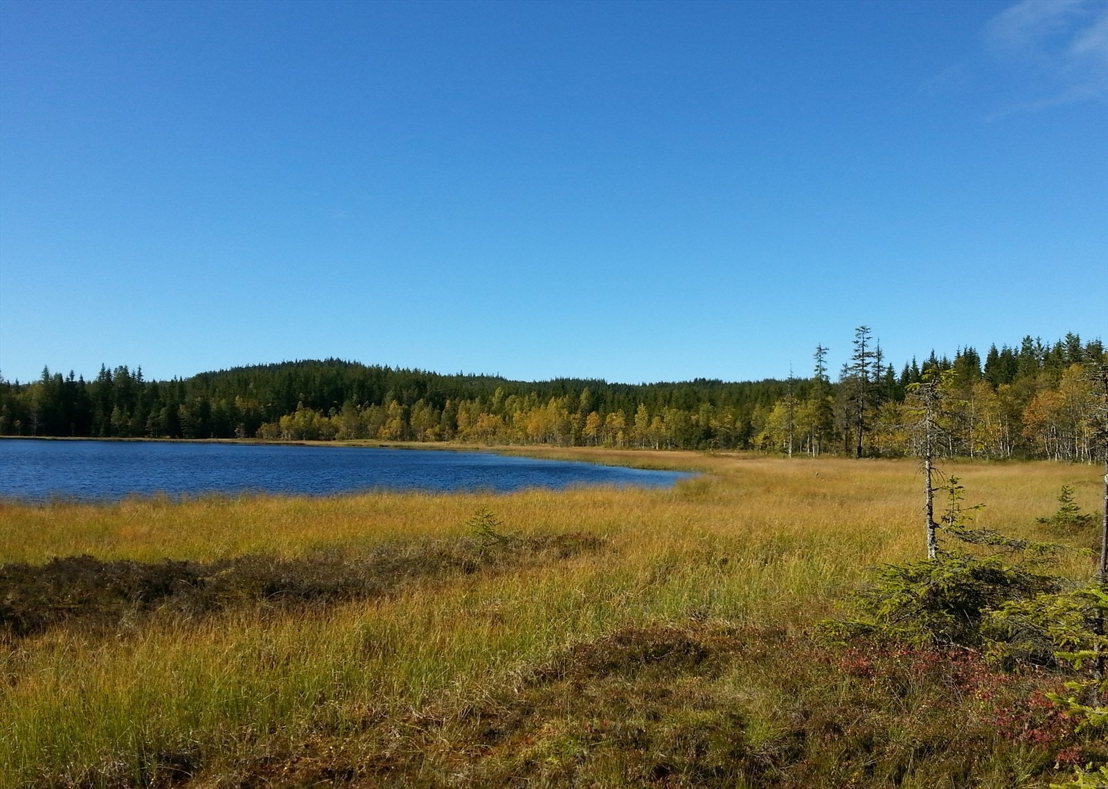 Det er flere fiskevann i nærområdet, som for eksempel Stråtjern. Galleribilde