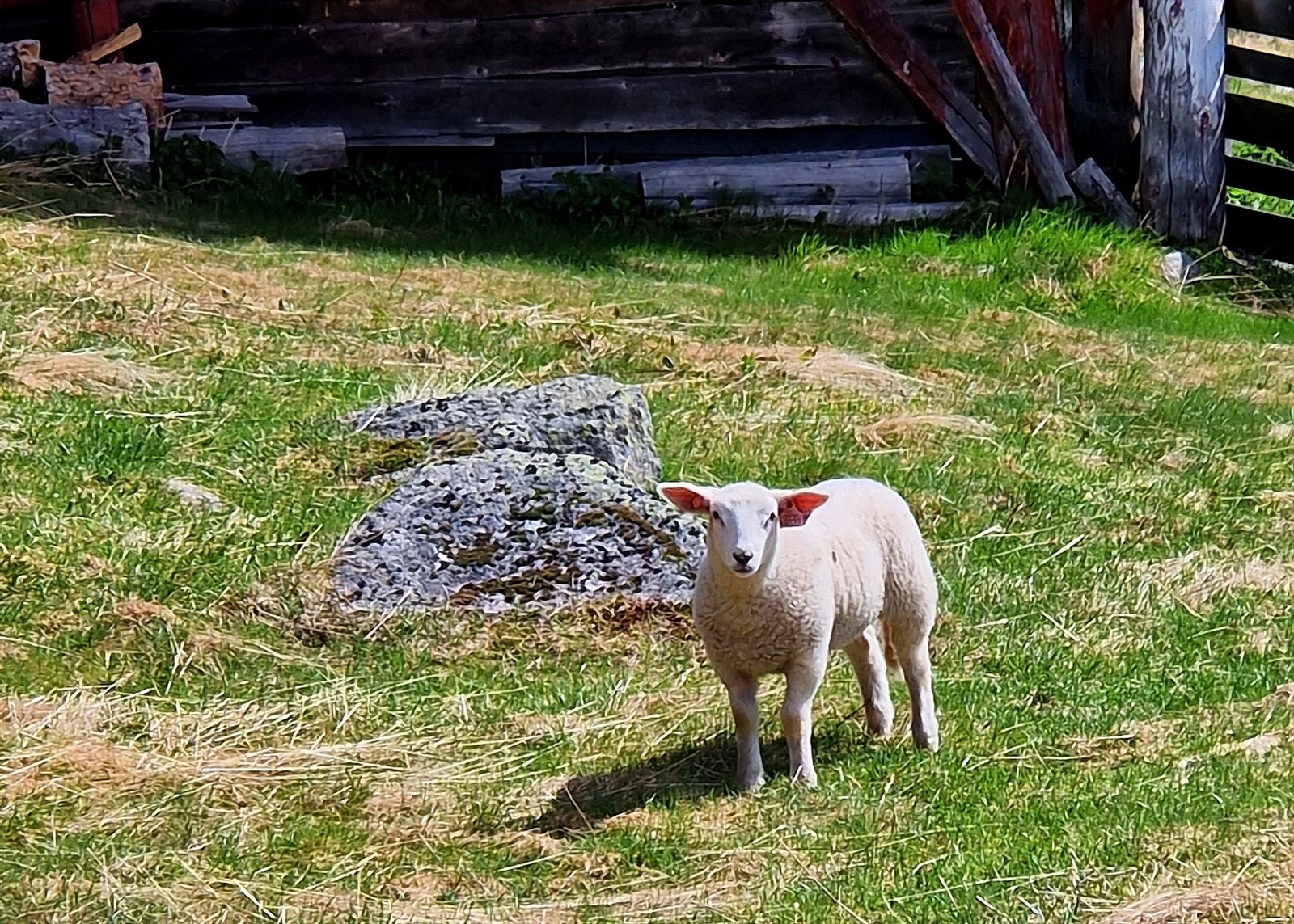 Her kan du oppleve naturen på nært hold. Galleribilde